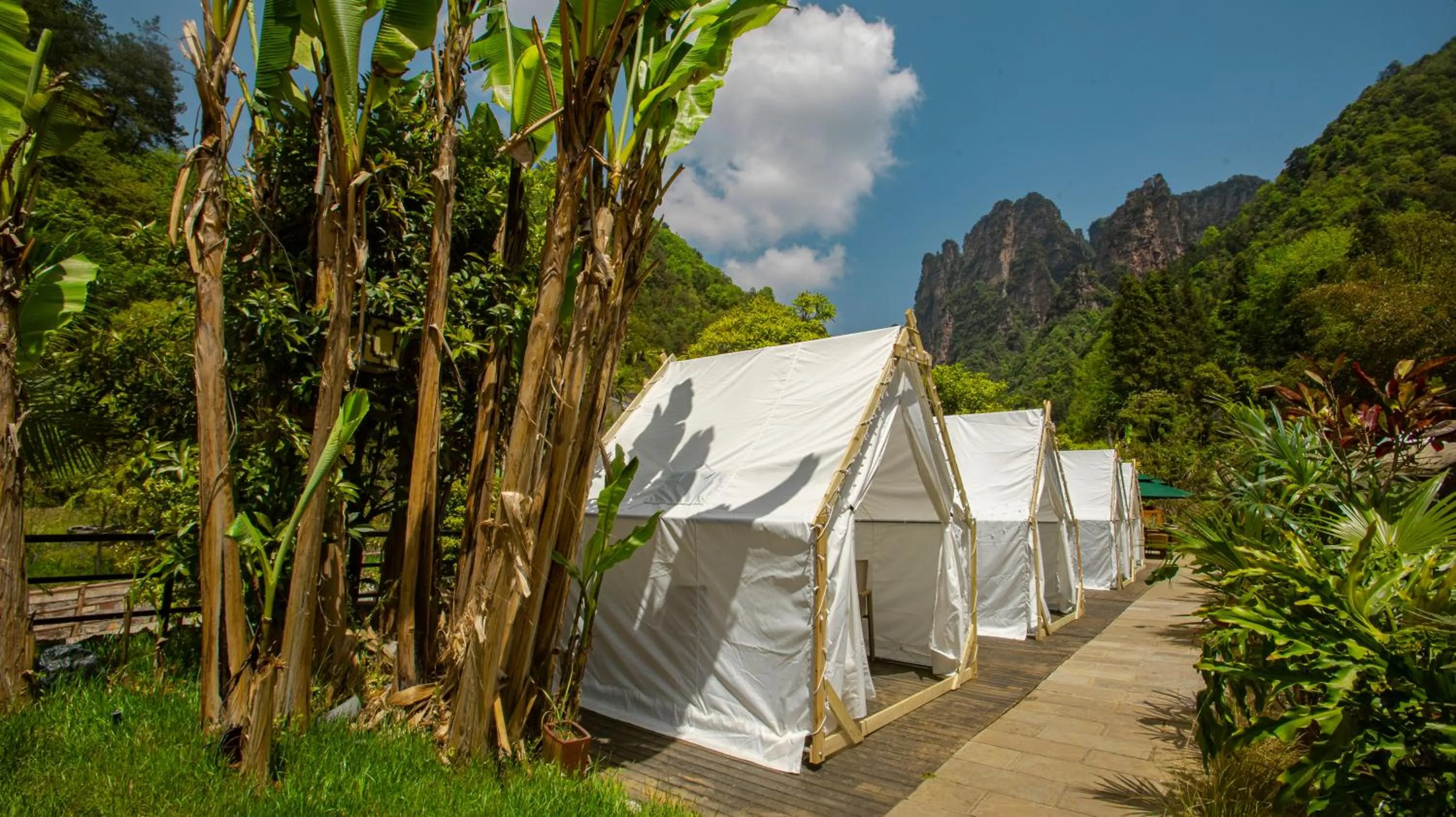 Natural landscape in Homeward Mountain Resort