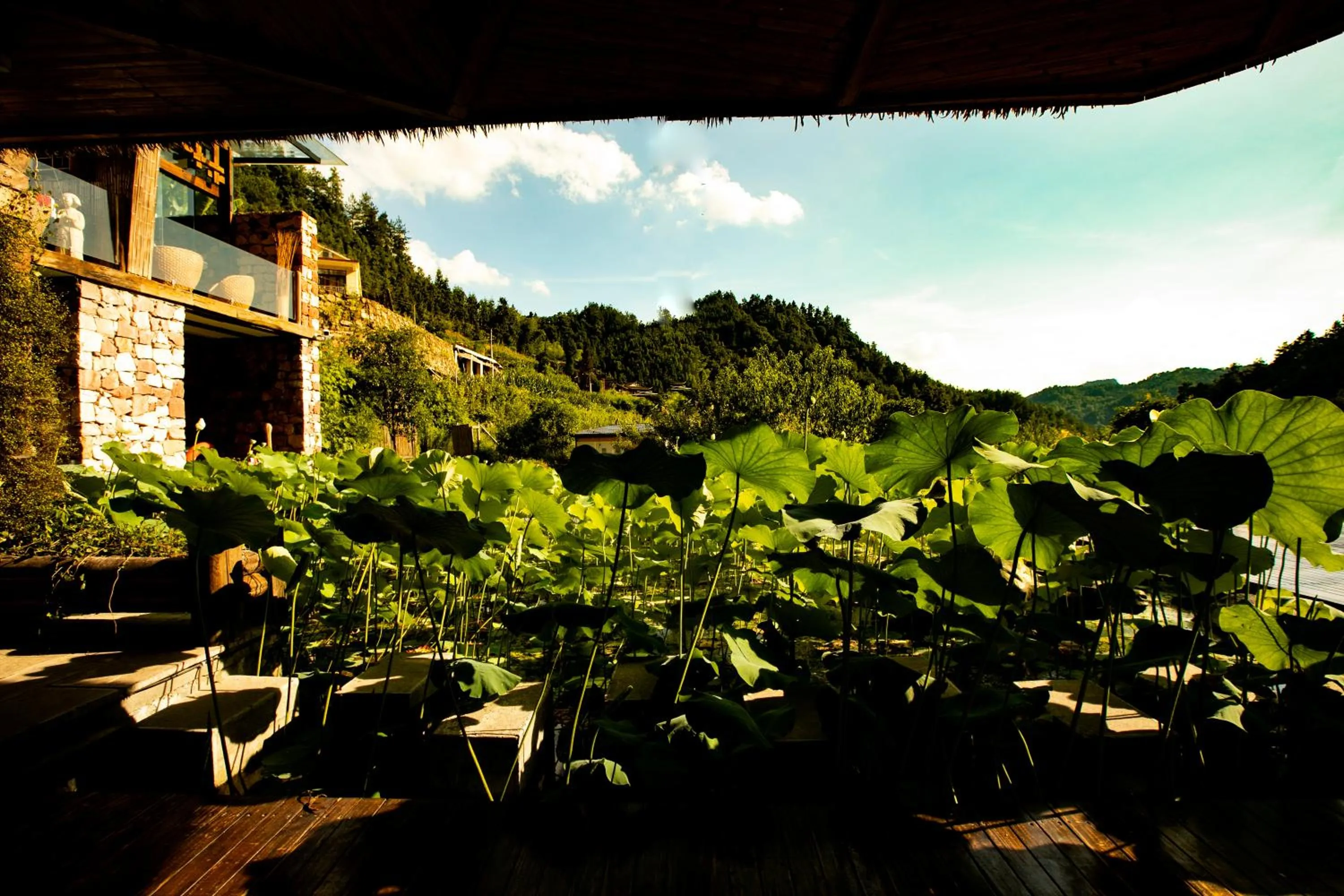 Property building in Homeward Mountain Resort