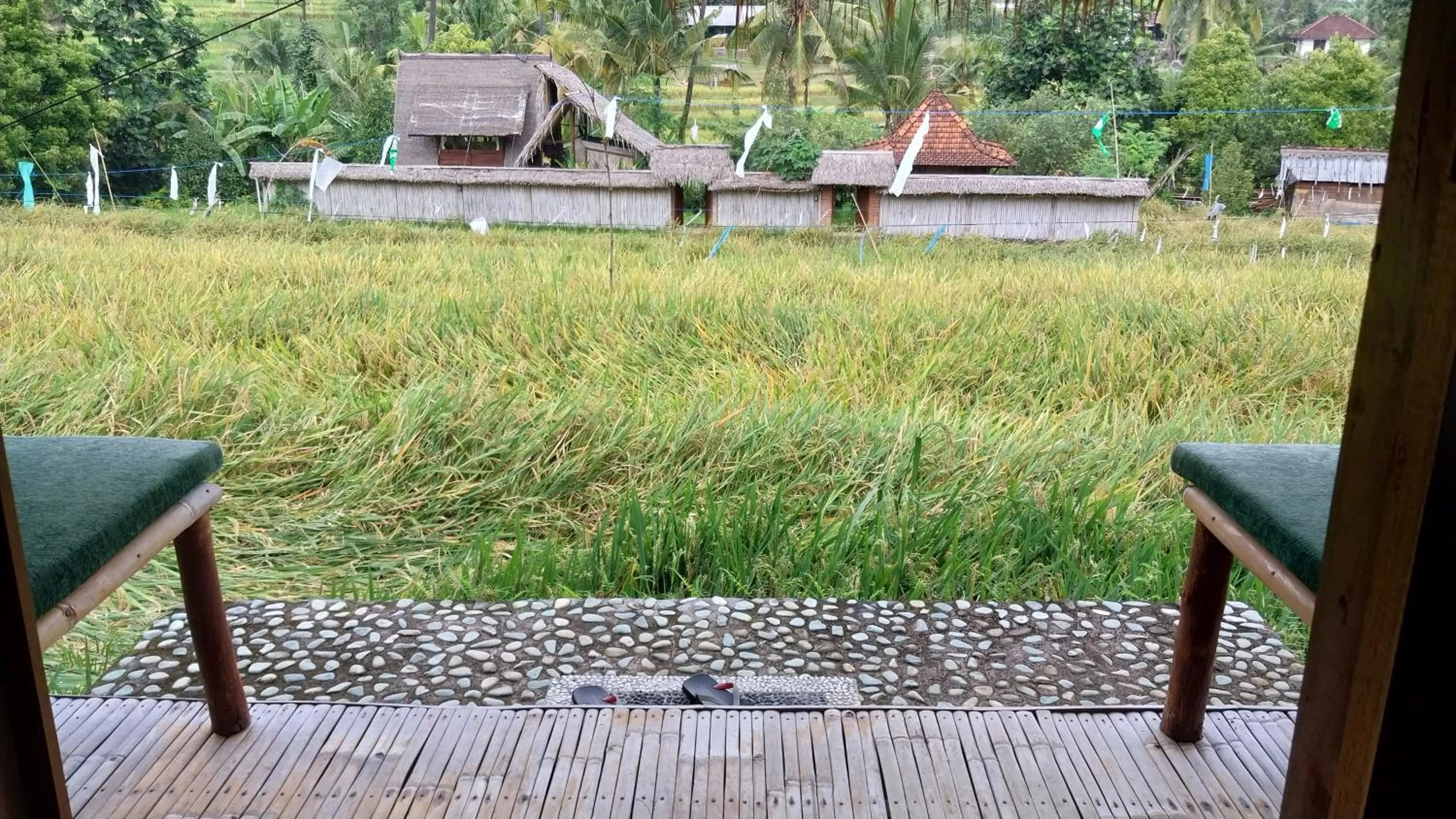 Property building in Uma Nirmala Aling-Aling