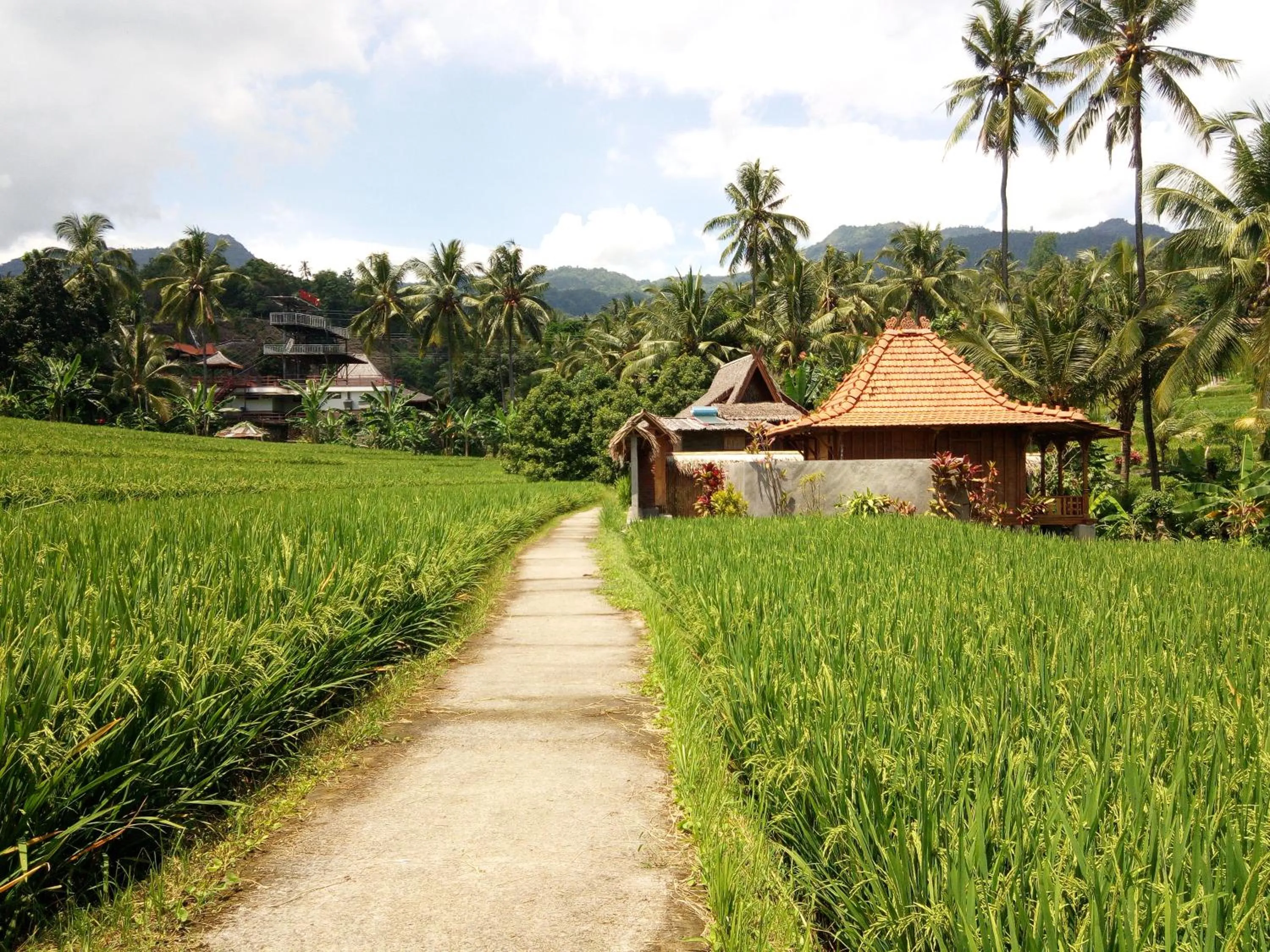 Garden view in Uma Nirmala Aling-Aling