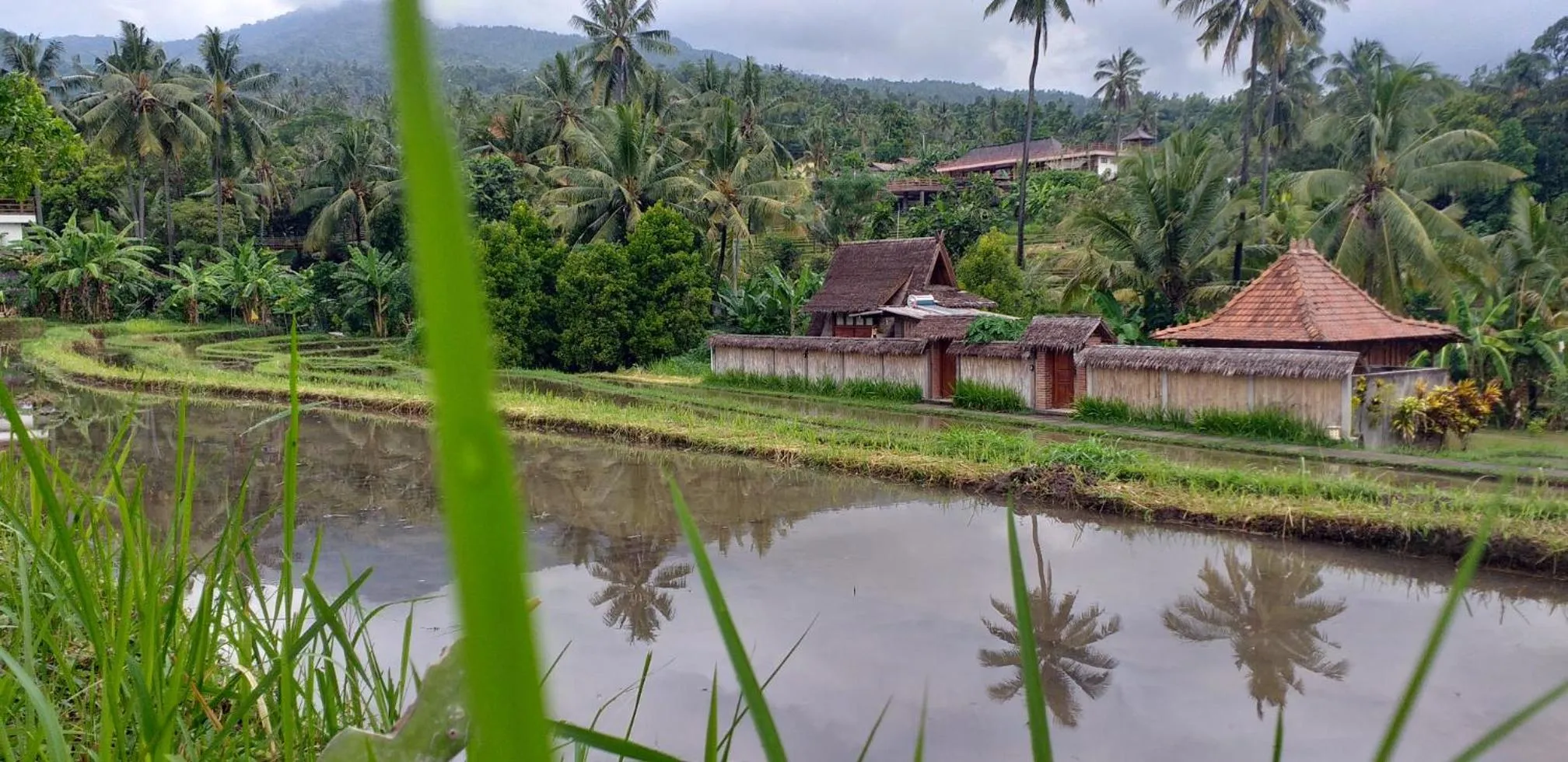 Property building in Uma Nirmala Aling-Aling