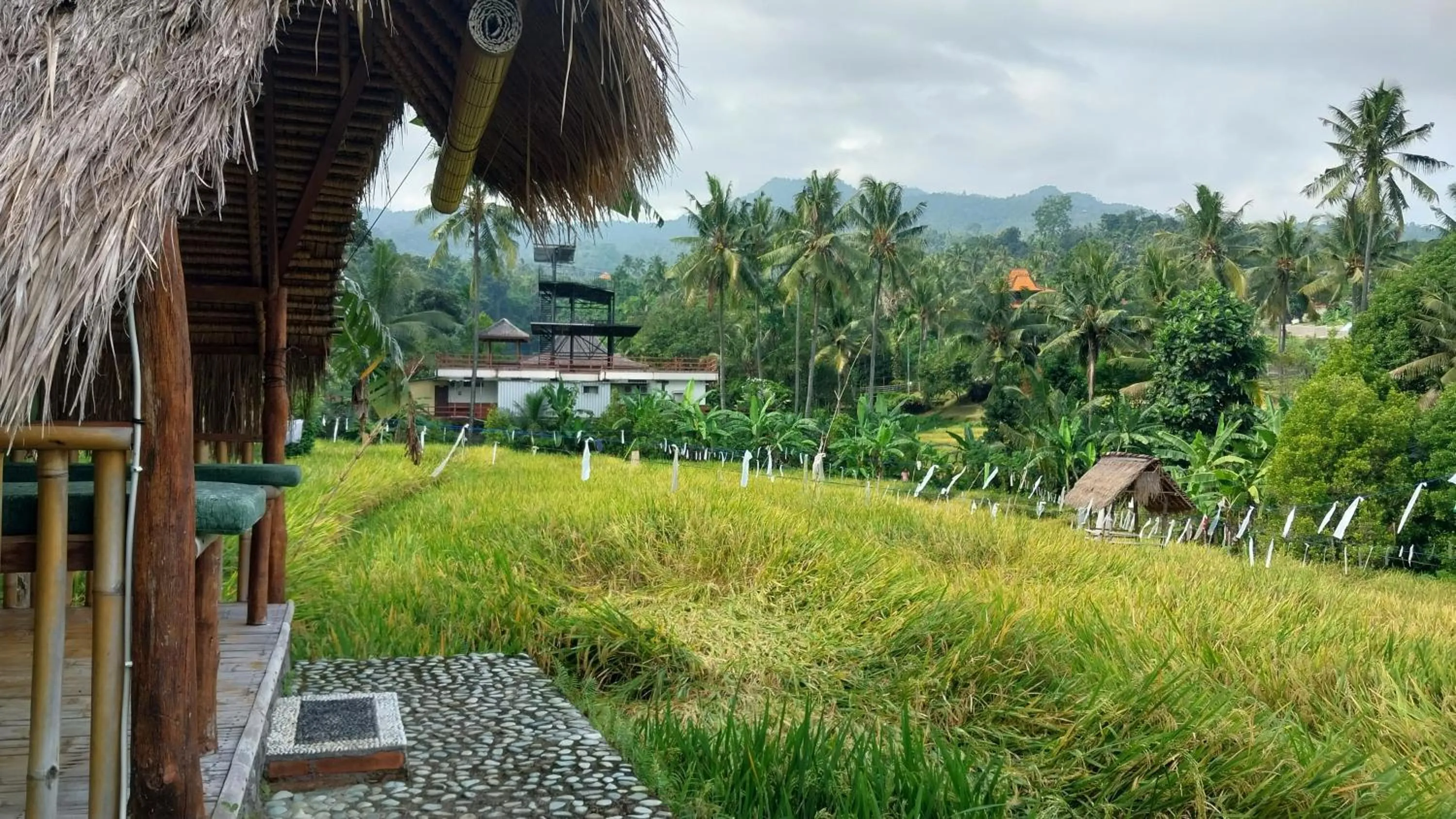 Property building in Uma Nirmala Aling-Aling