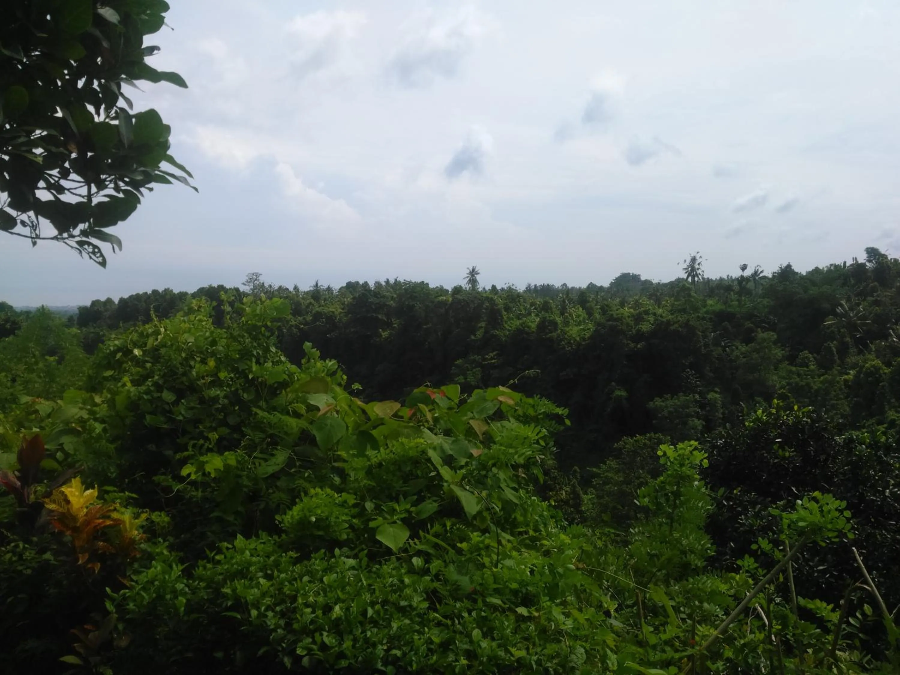 Natural landscape in Uma Nirmala Aling-Aling