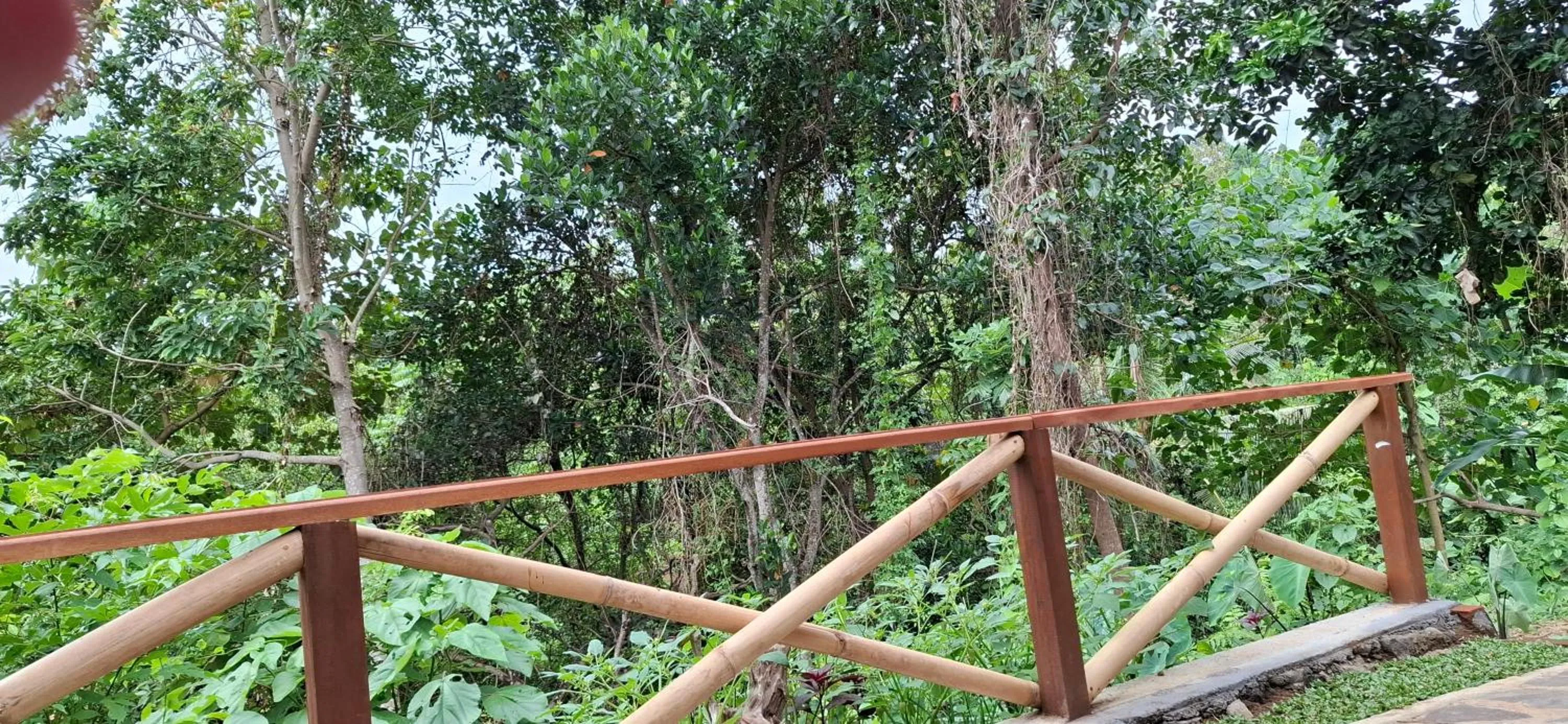 Uma Nirmala Aling-Aling