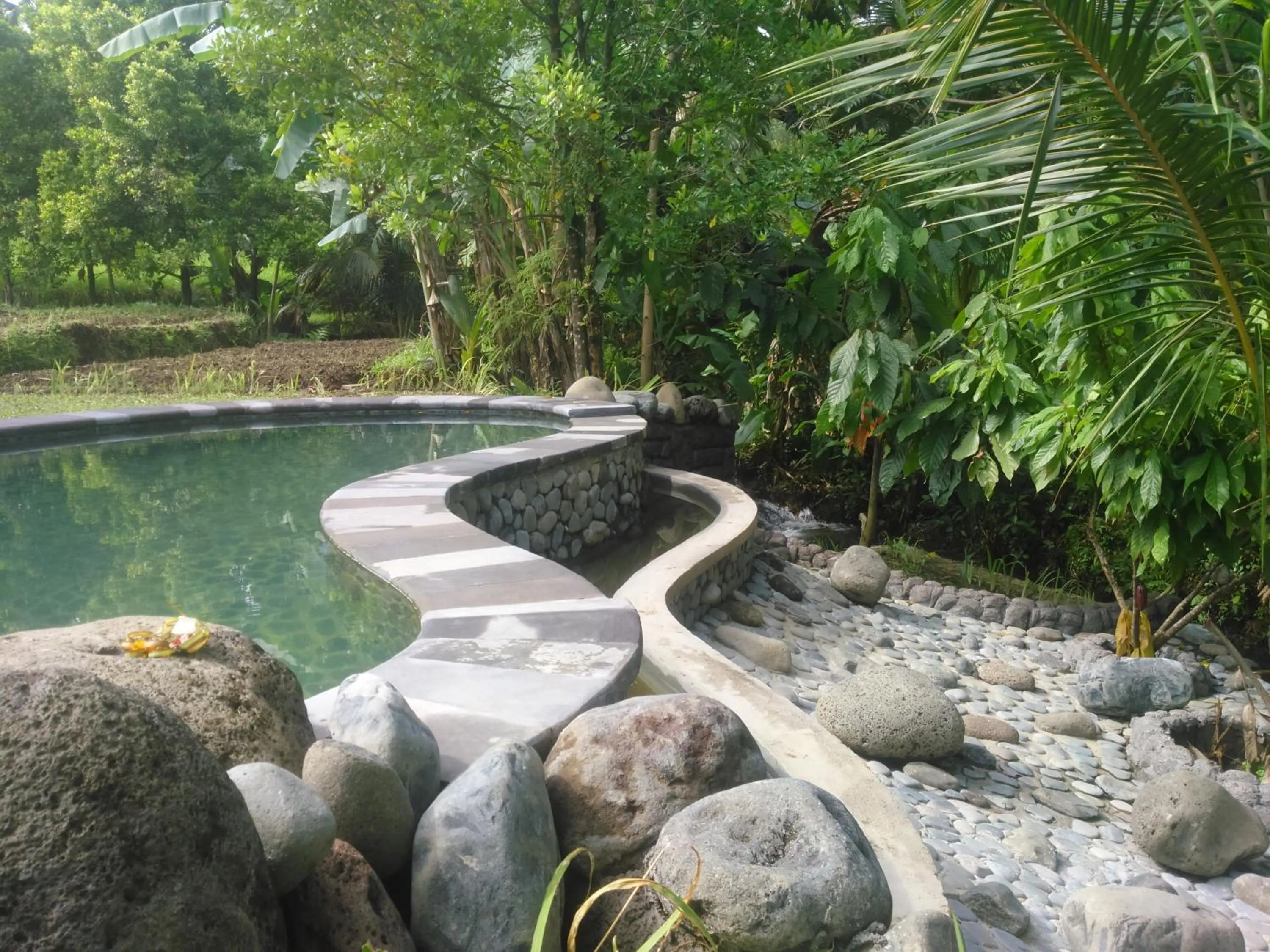 Garden view in Uma Nirmala Aling-Aling