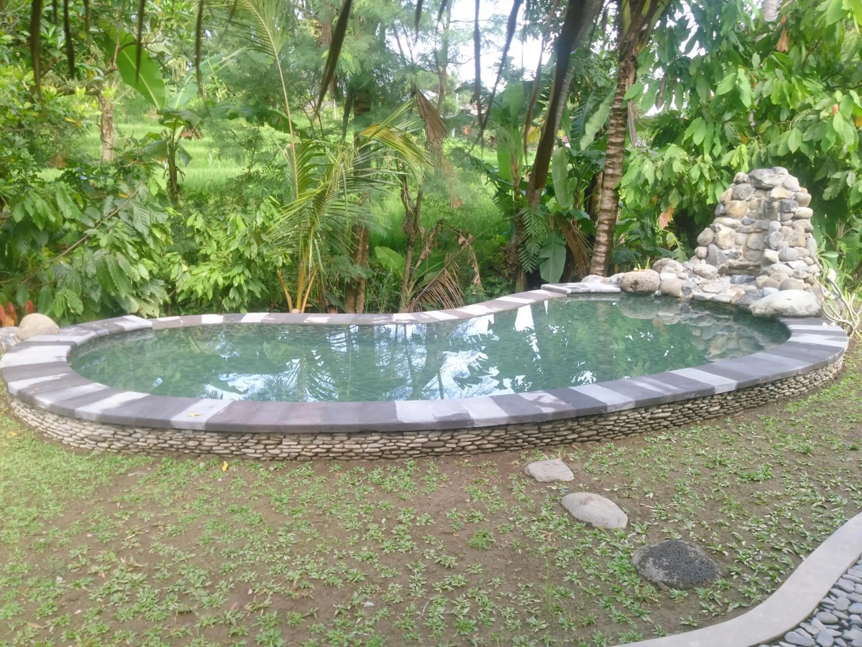 Pool view in Uma Nirmala Aling-Aling