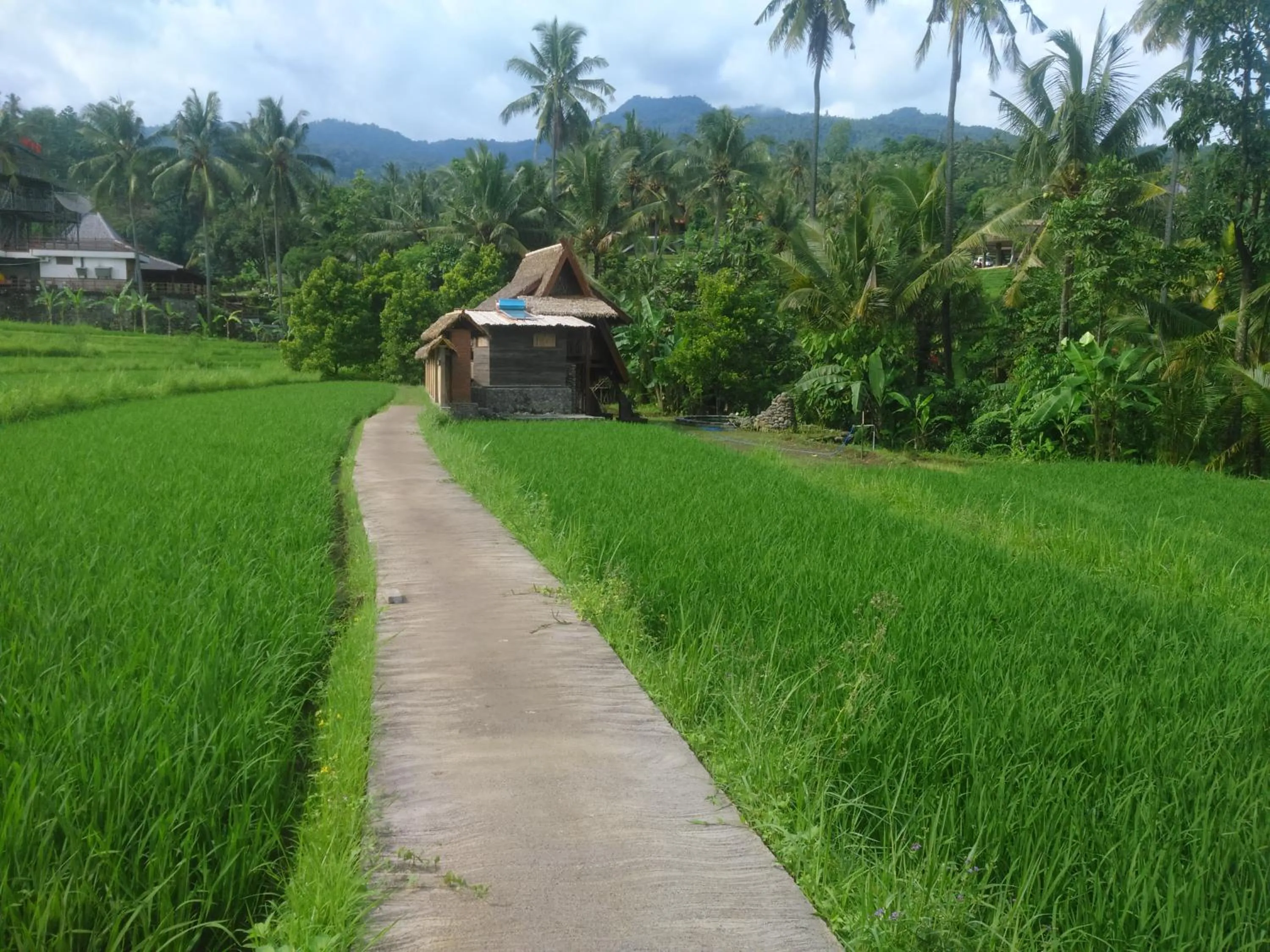 Property building in Uma Nirmala Aling-Aling