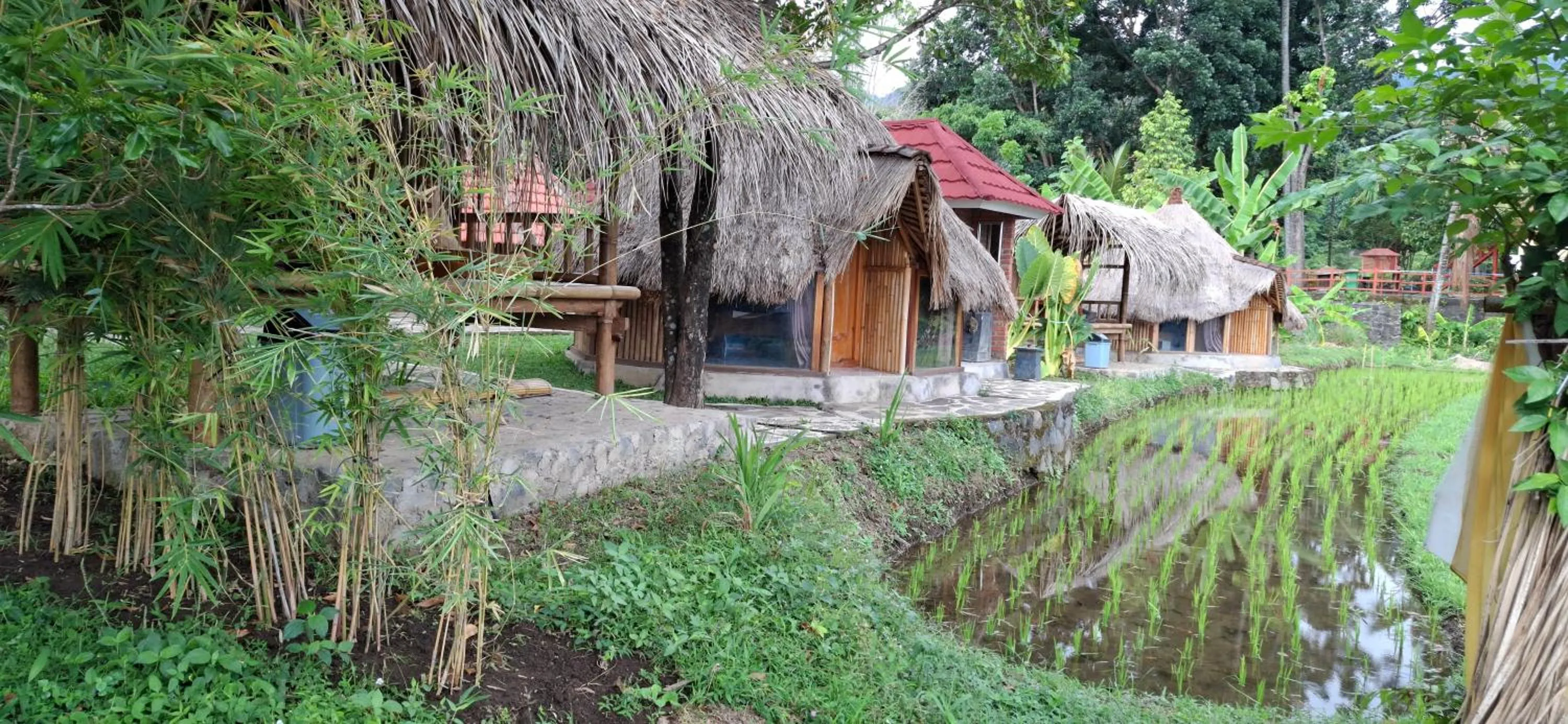 Uma Nirmala Aling-Aling