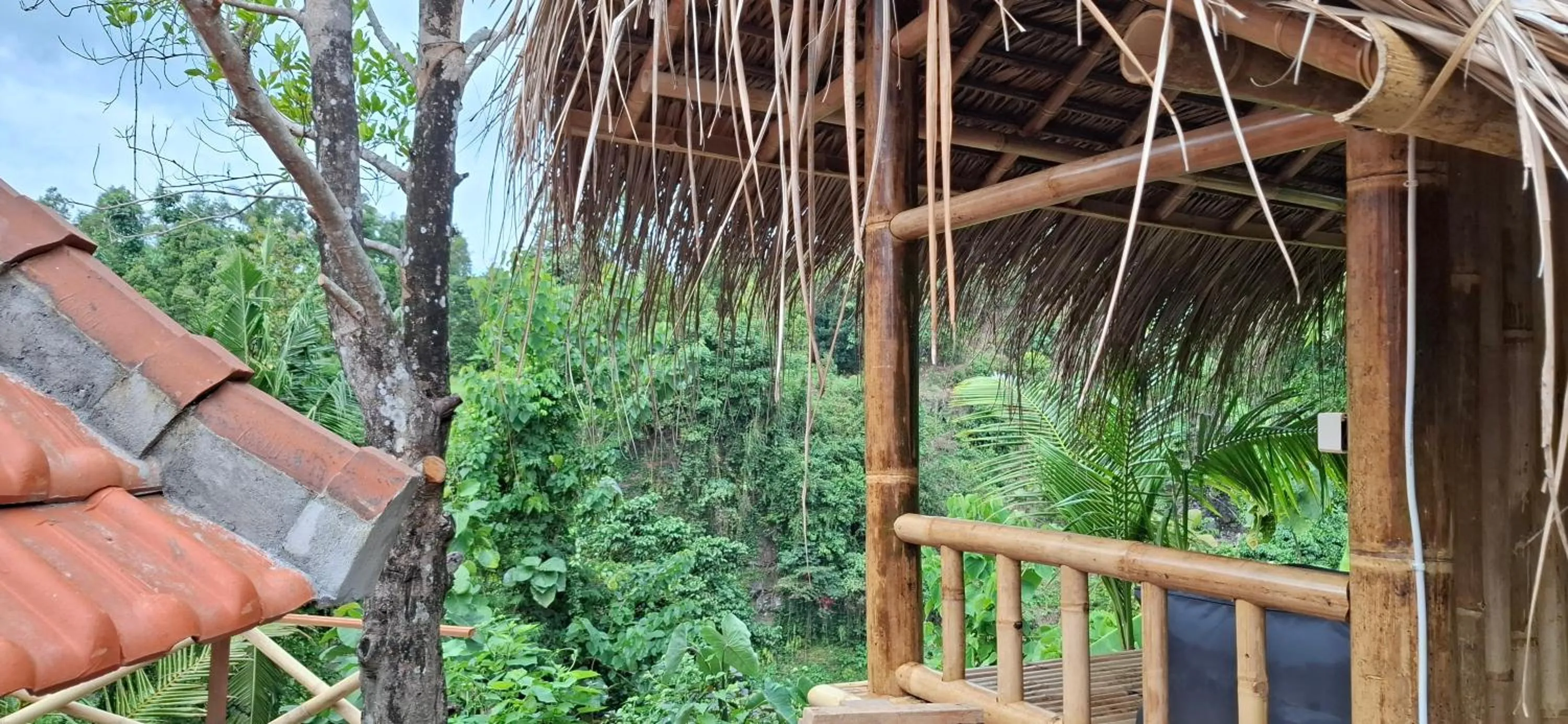 Uma Nirmala Aling-Aling