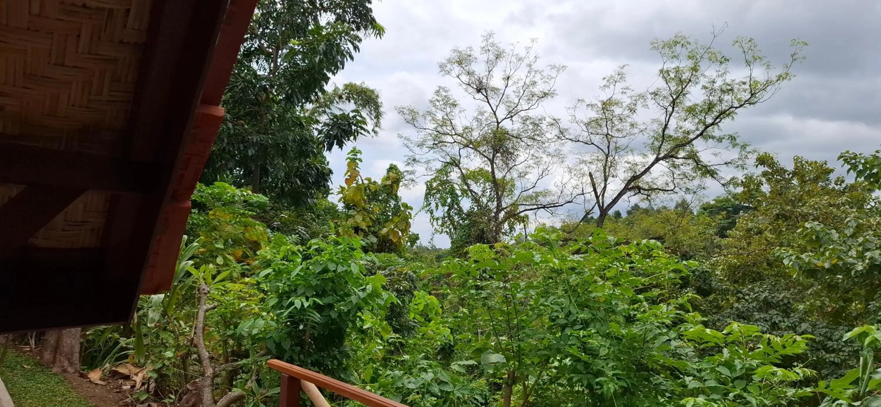 Uma Nirmala Aling-Aling