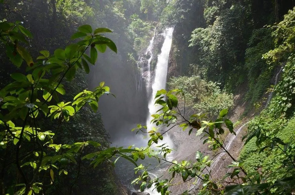 Other in Uma Nirmala Aling-Aling