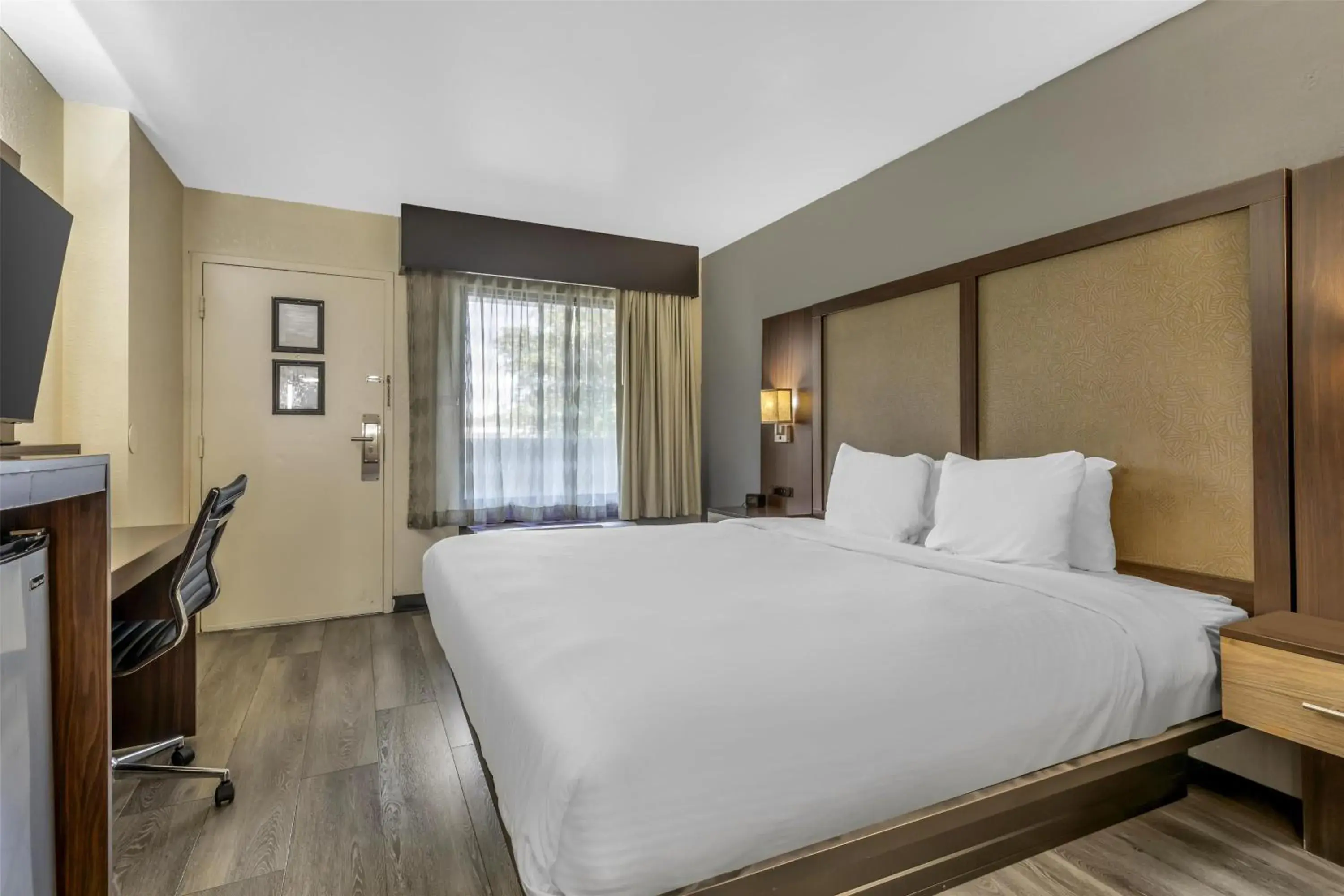 King Room - Smoking in Best Western Salisbury Plaza King Room - Smoking in Best Western Salisbury Plaza