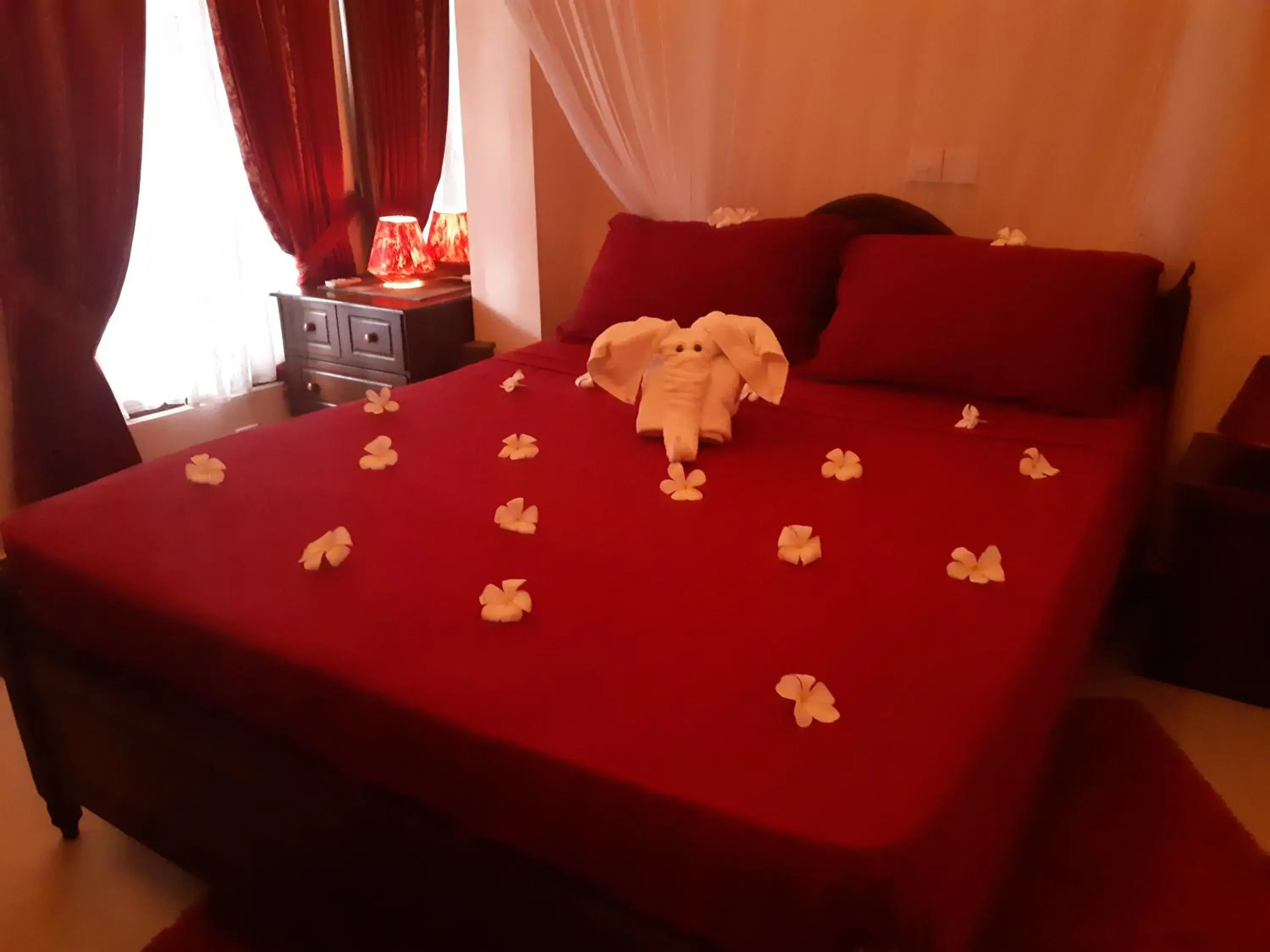 Budget Single Room - single occupancy in Sri Lancashire Guest House Budget Single Room - single occupancy in Sri Lancashire Guest House