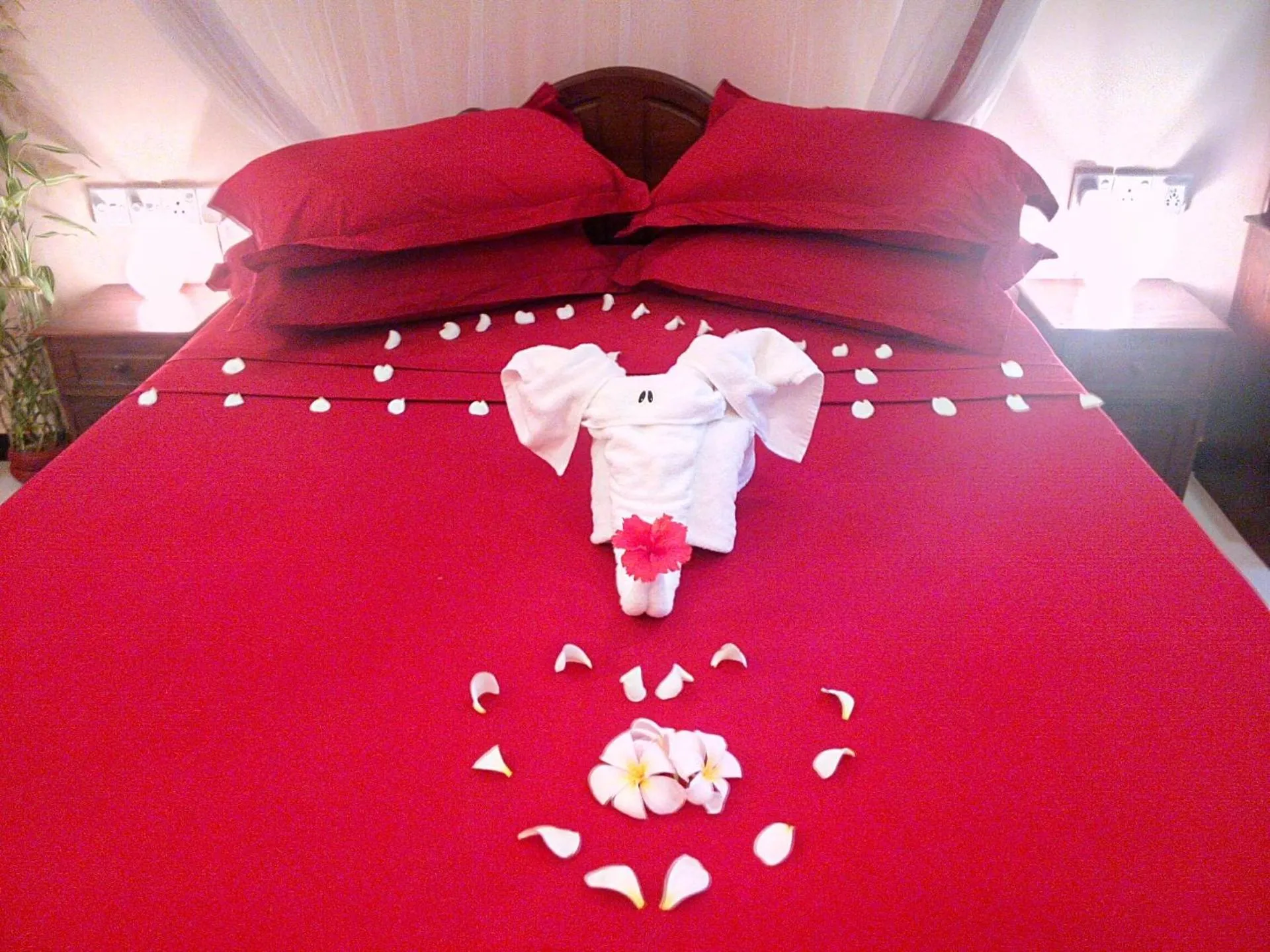 Bedroom, Bed in Sri Lancashire Guest House