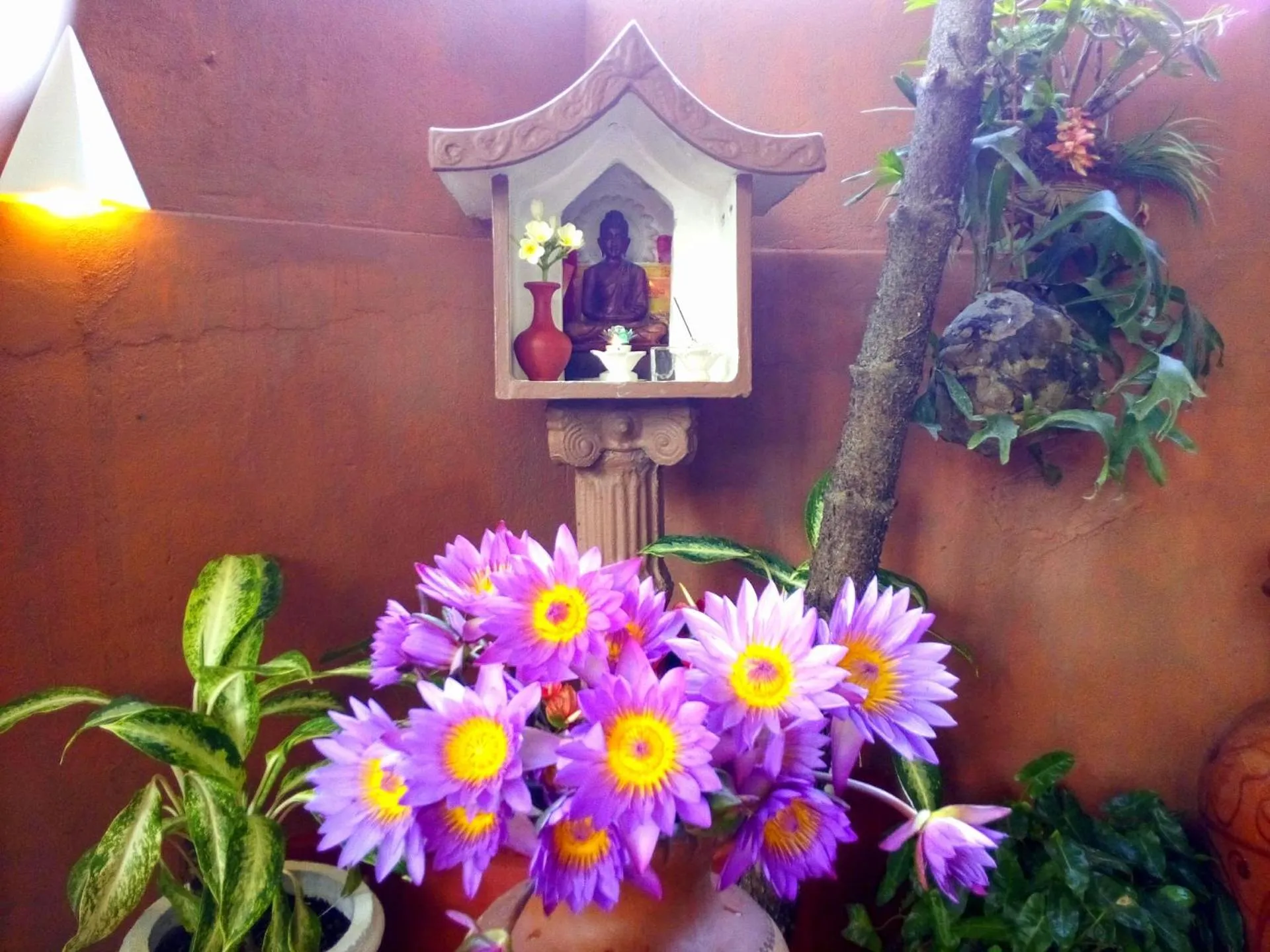 Lobby or reception in Sri Lancashire Guest House