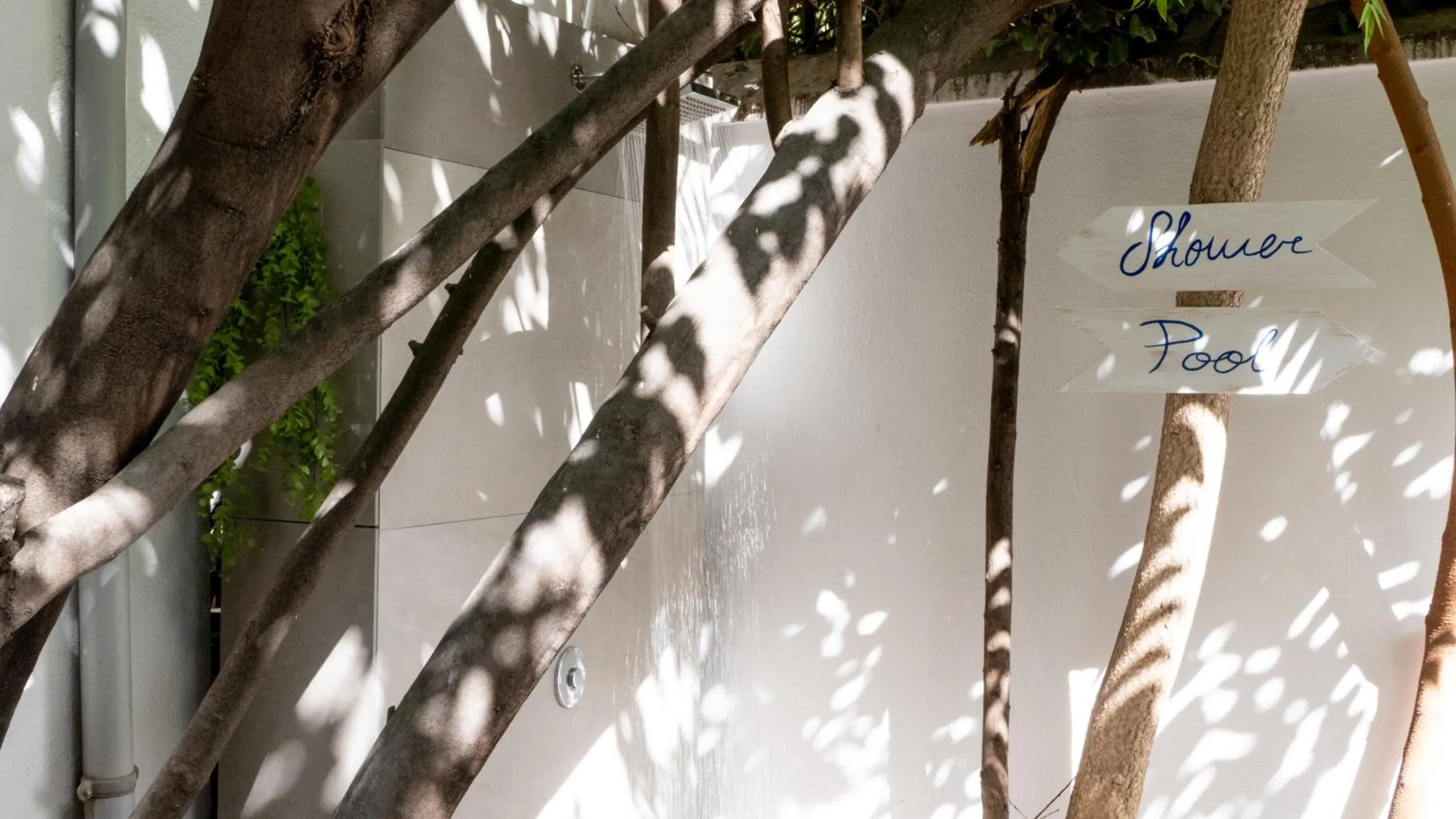 Swimming pool in Gala Placida 1923