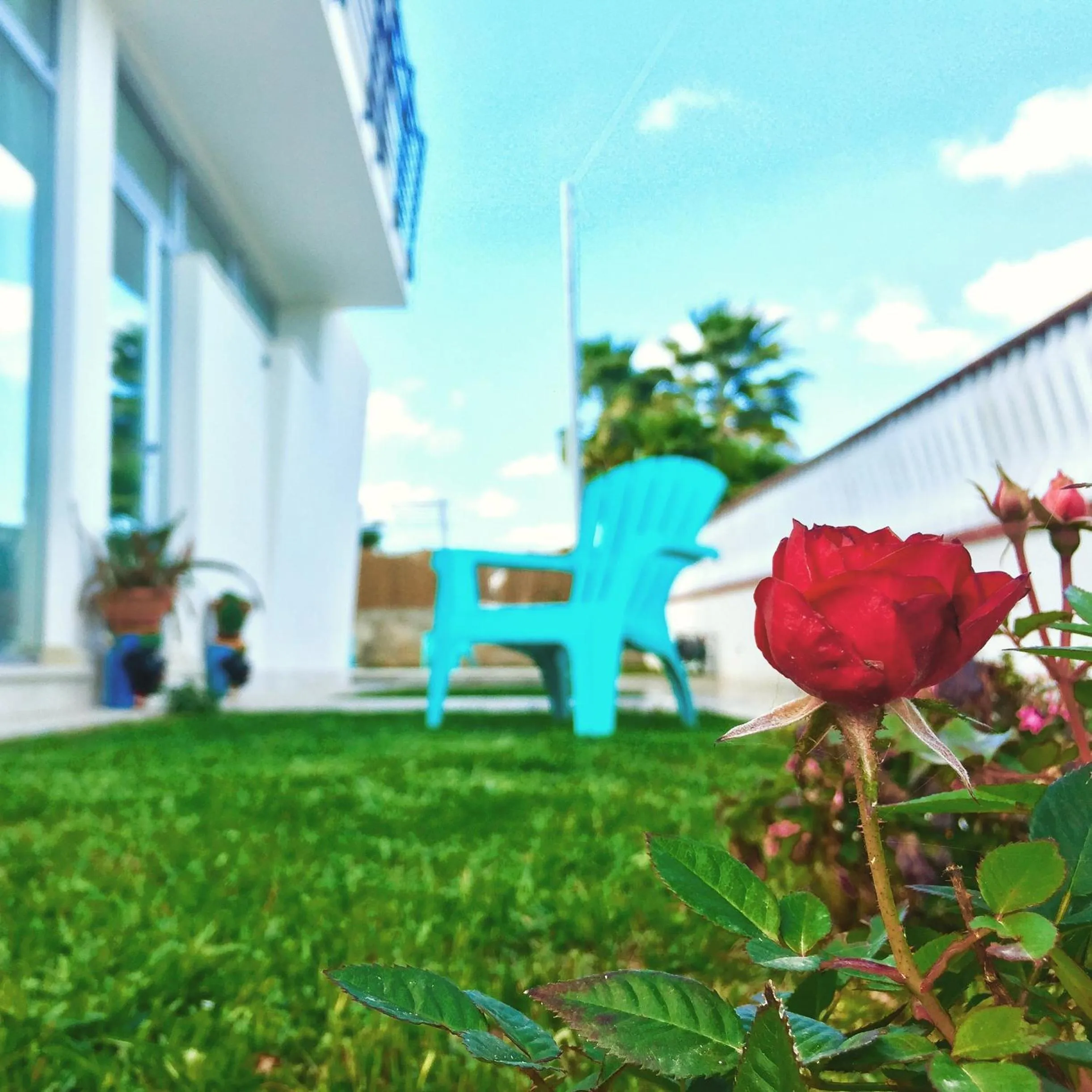 Corte Sveva Affittacamere