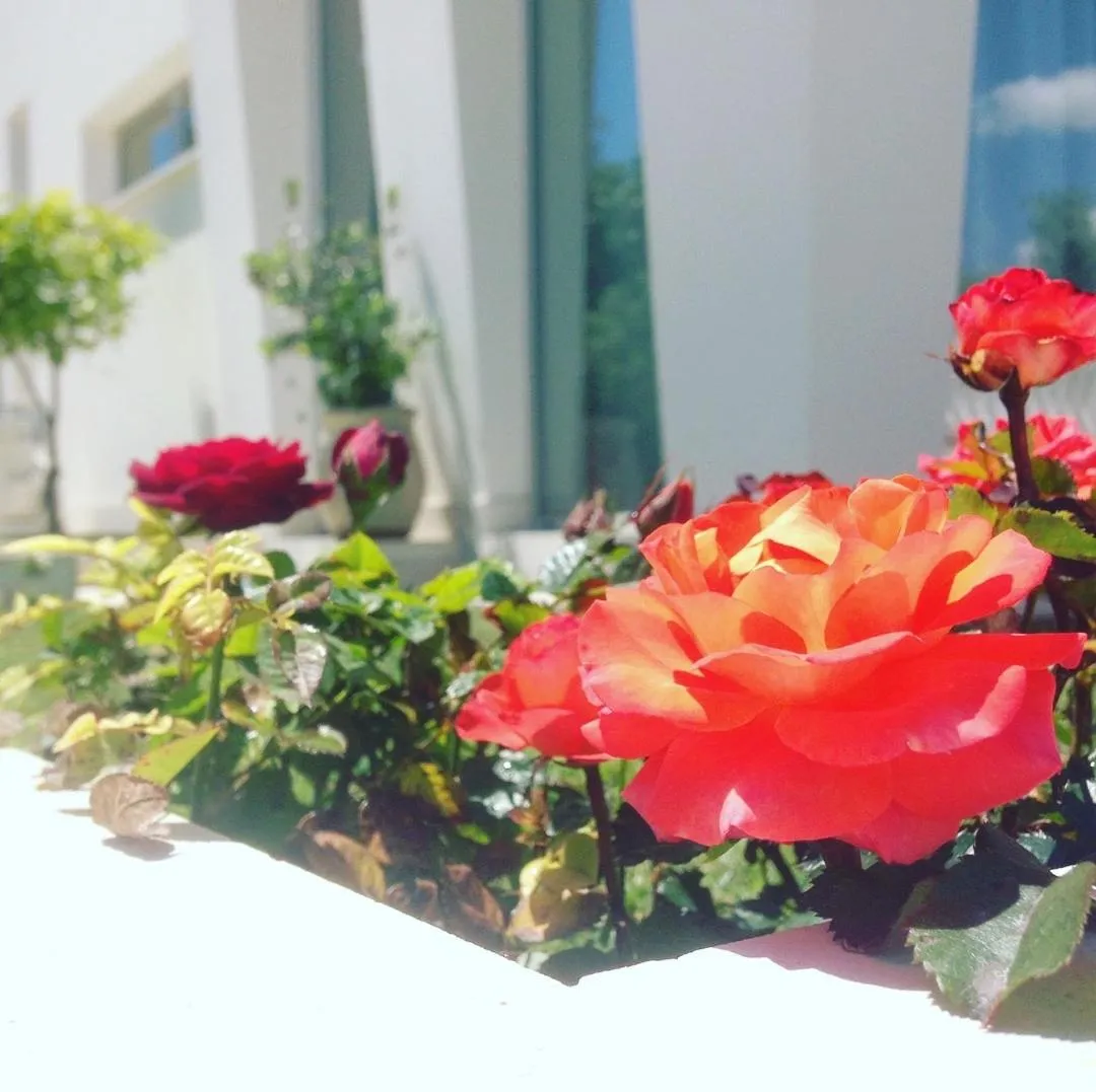 Corte Sveva Affittacamere