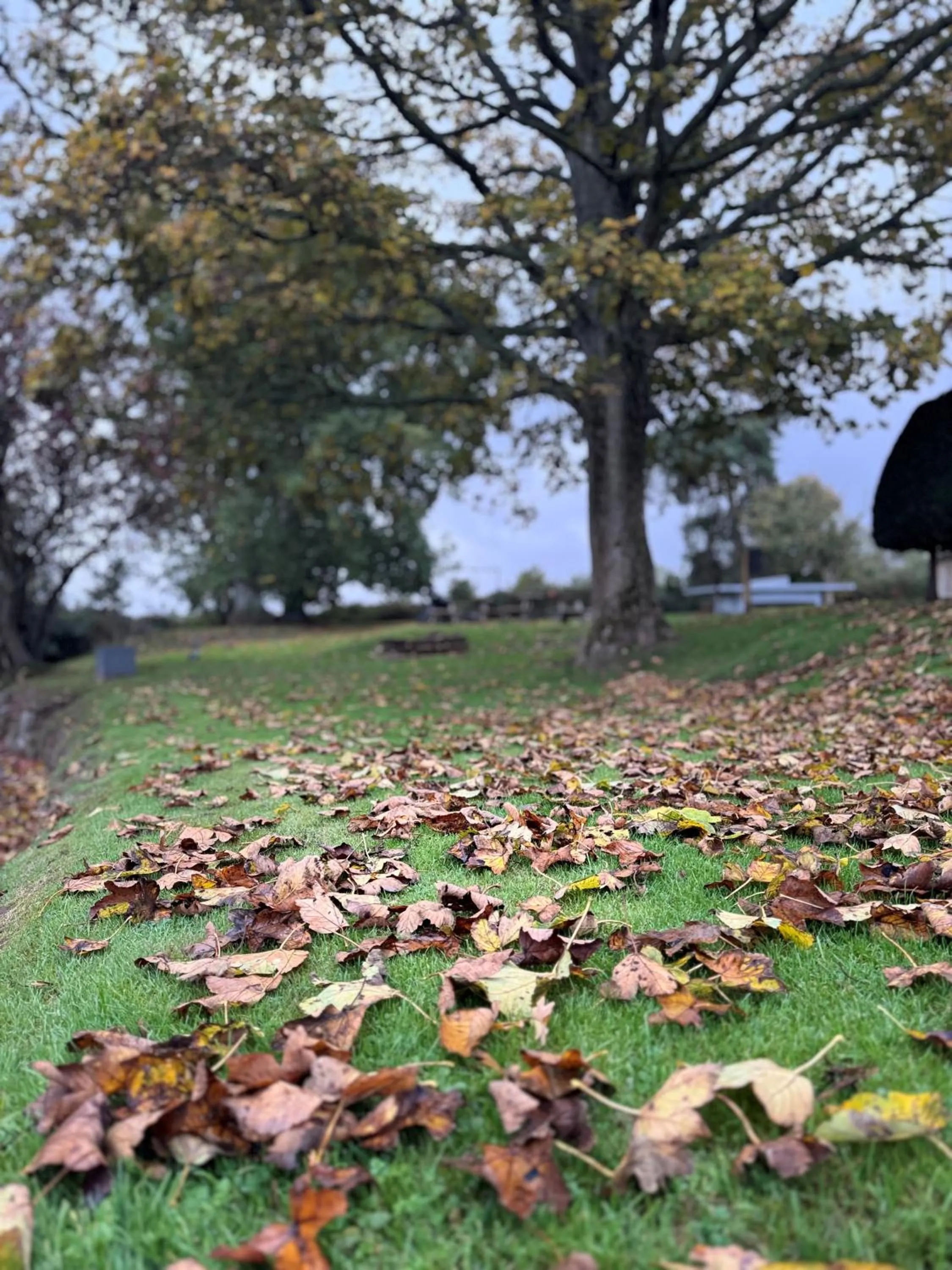 Scarborough Hill Country Inn