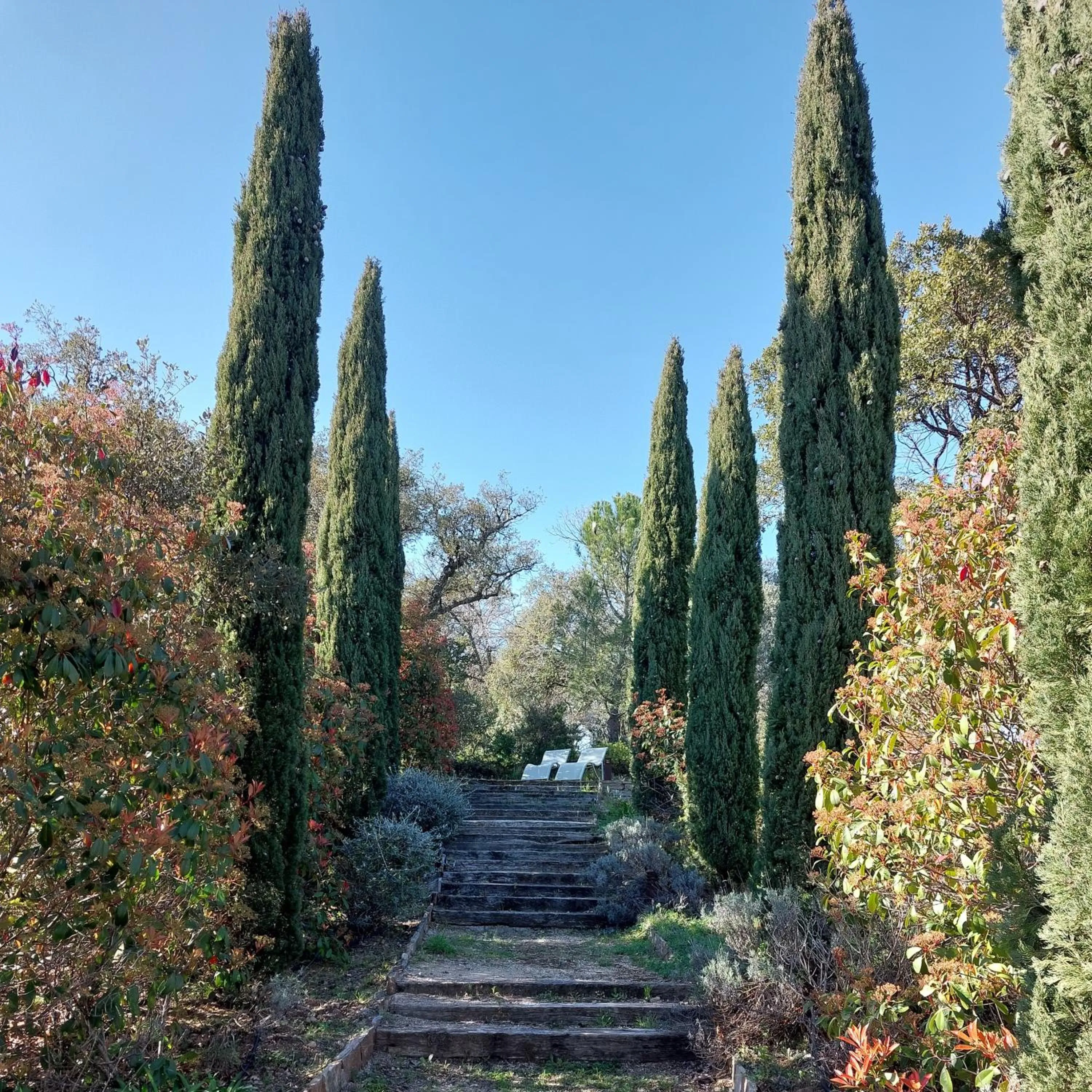 Natural landscape in Villa des Delices