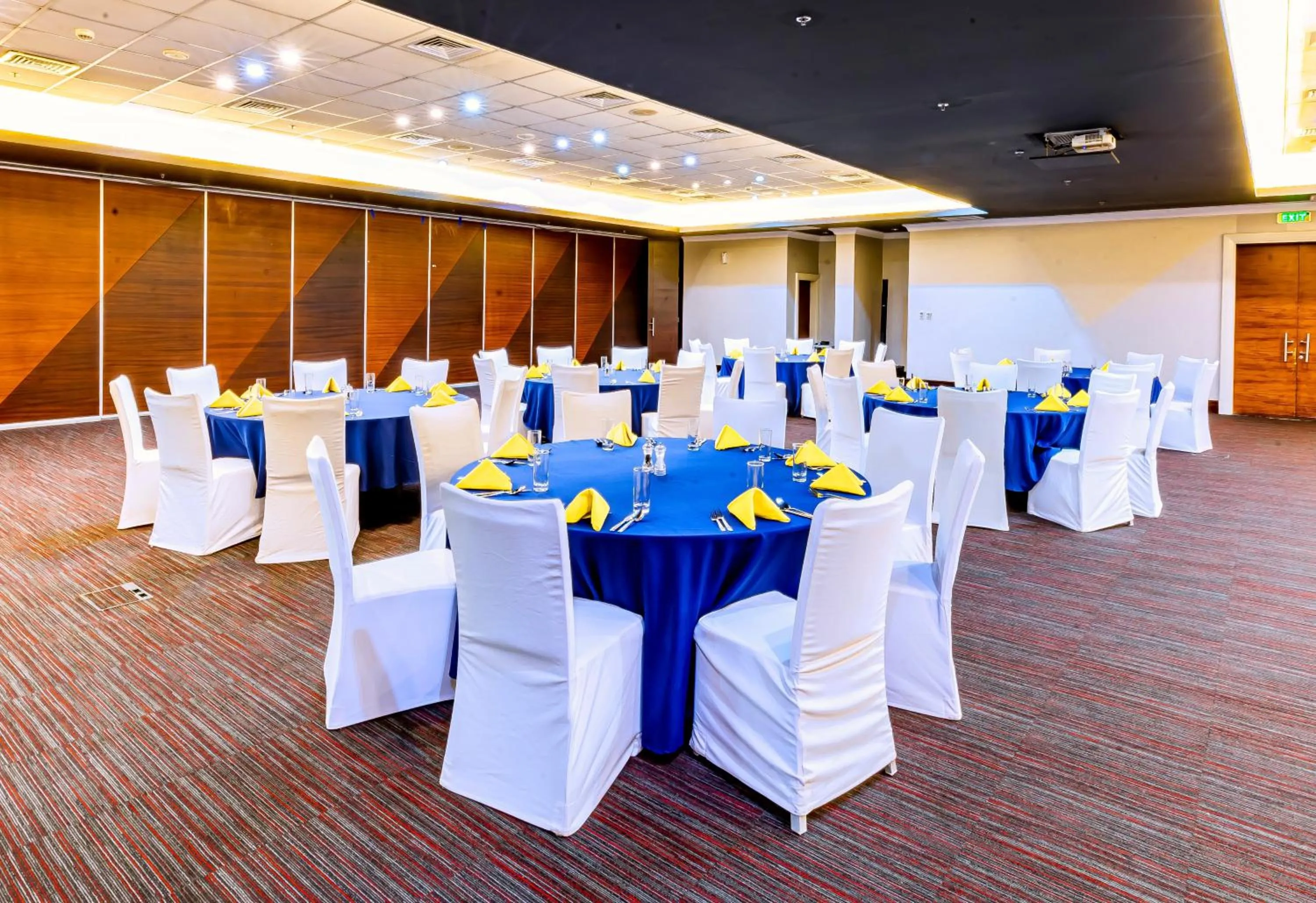 Meeting/conference room in Park Inn by Radisson, Kigali