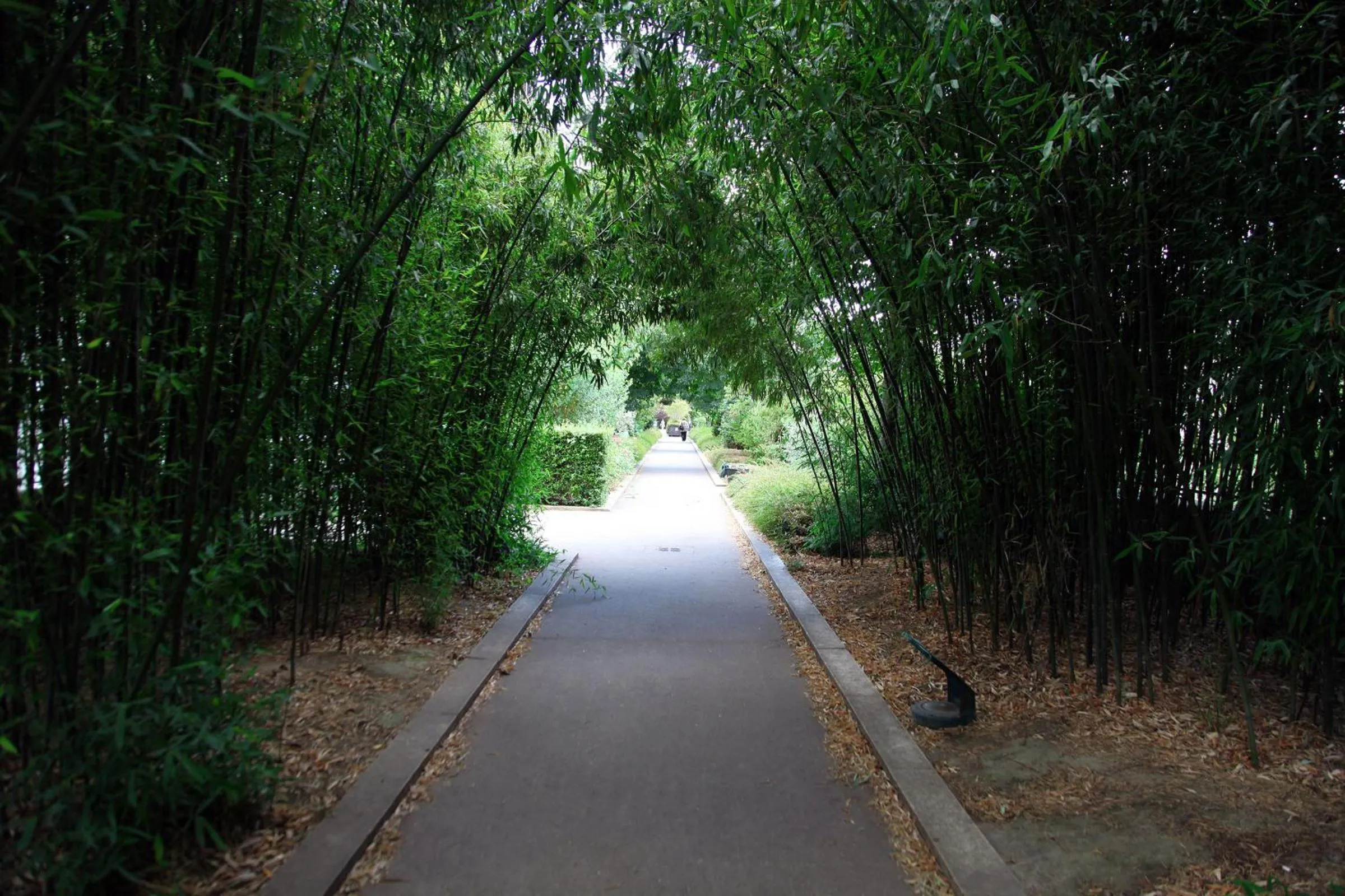 Other in Hotel Albe Bastille