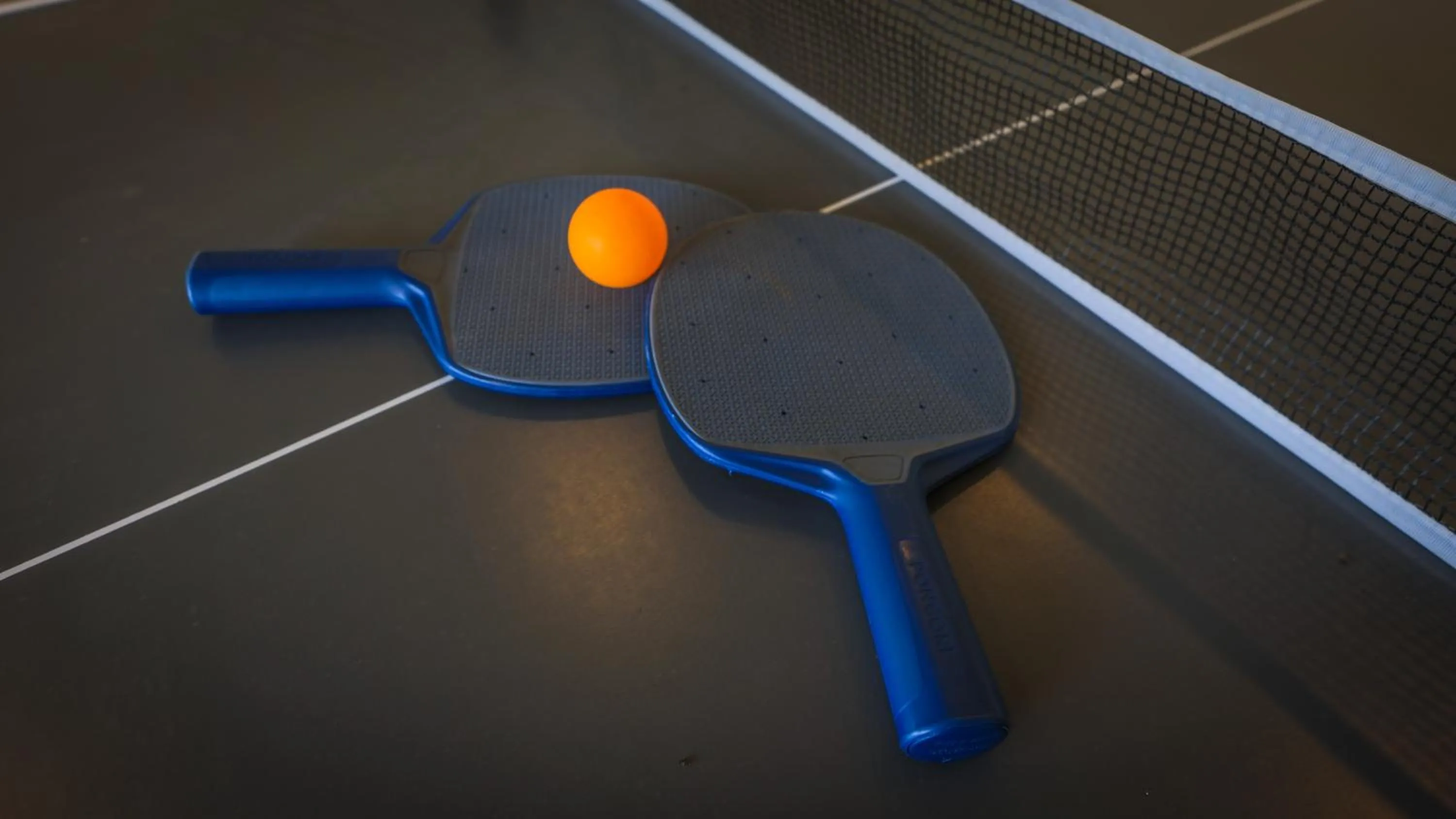 Table tennis in Shola Crown Resort - Munnar