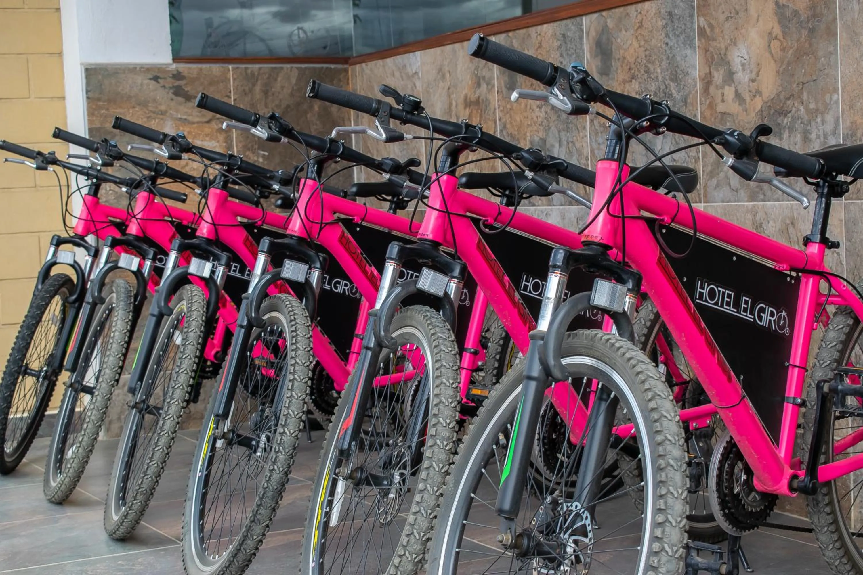 Other Activities in Hotel El Giro