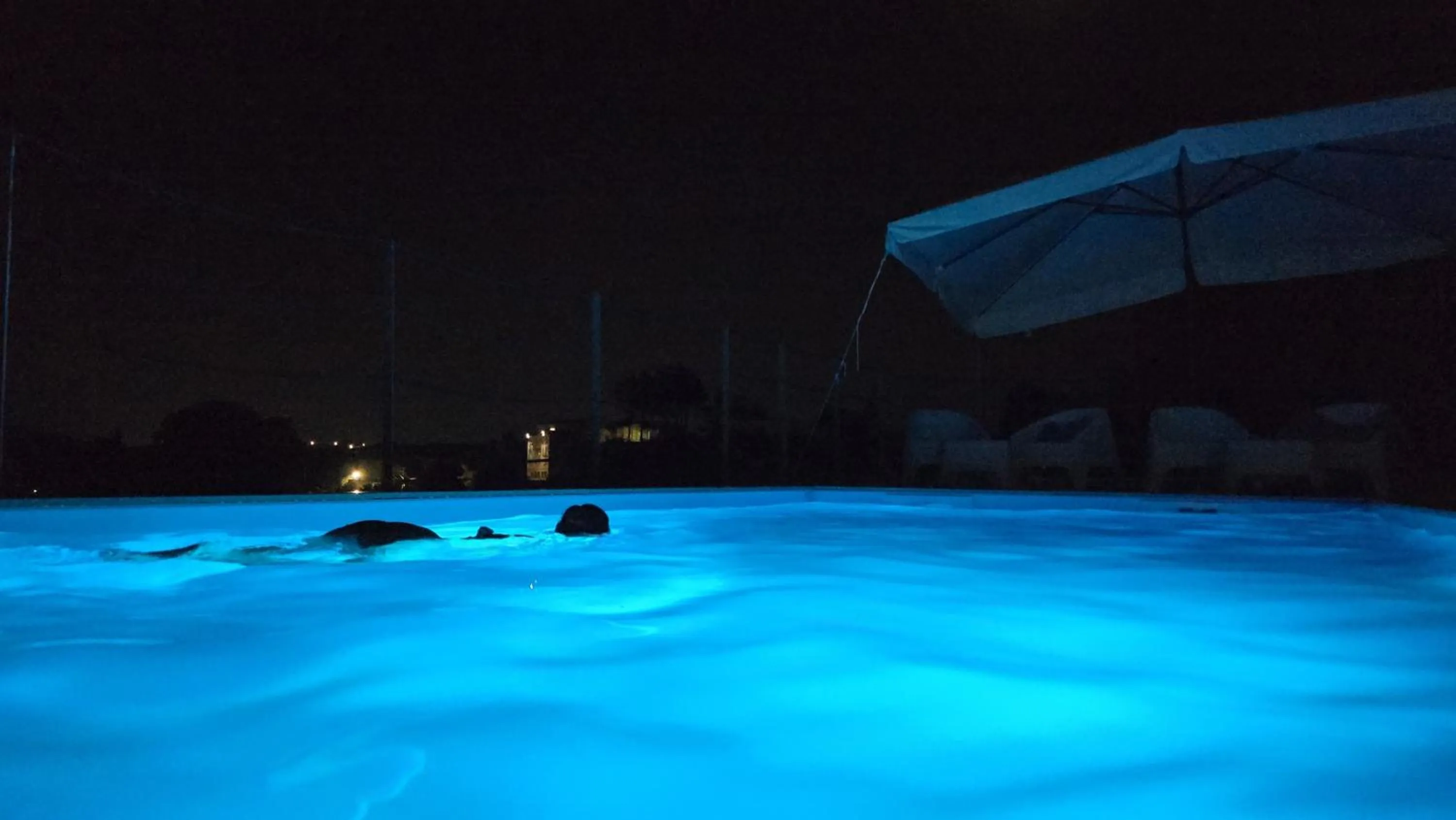Swimming pool in Villa Malvasio Pool and Jacuzzi Room Sassari
