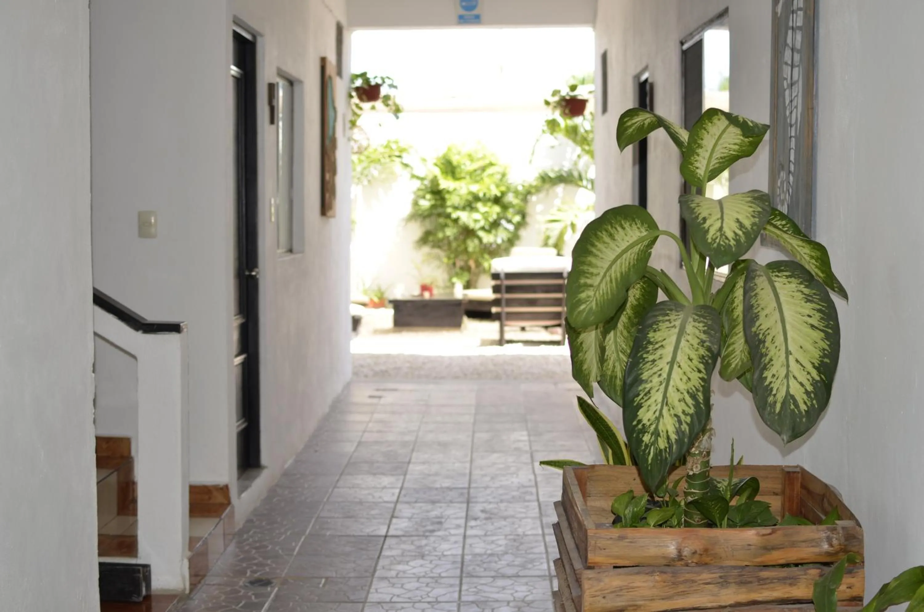 Balcony/Terrace in Hotel Nicte Ha Tulum
