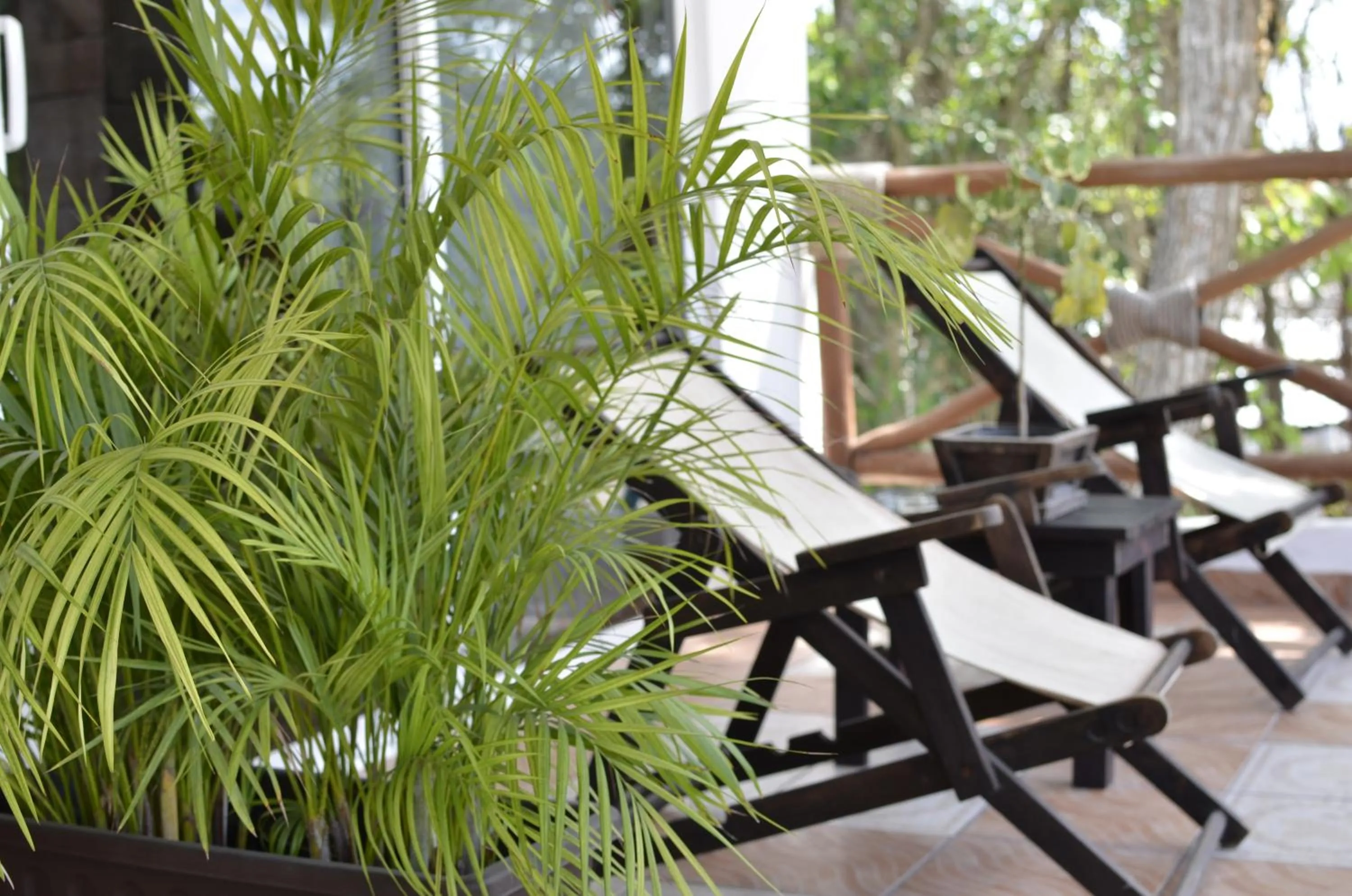 Decorative detail in Hotel Nicte Ha Tulum