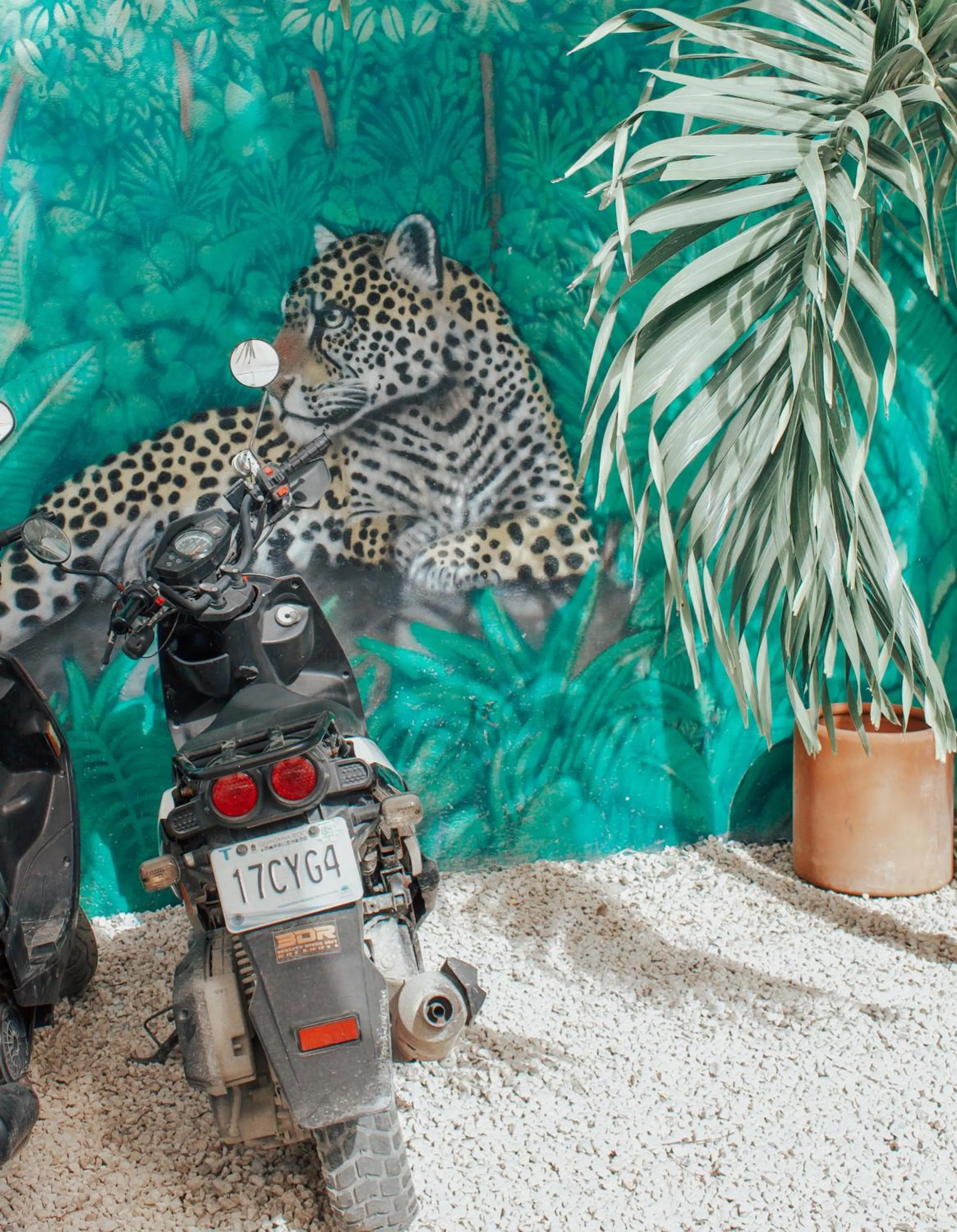 concierge in Hotel Nicte Ha Tulum