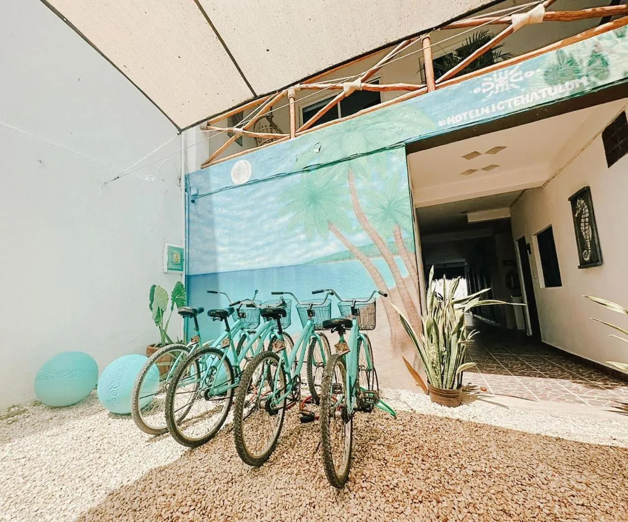 Garden in Hotel Nicte Ha Tulum