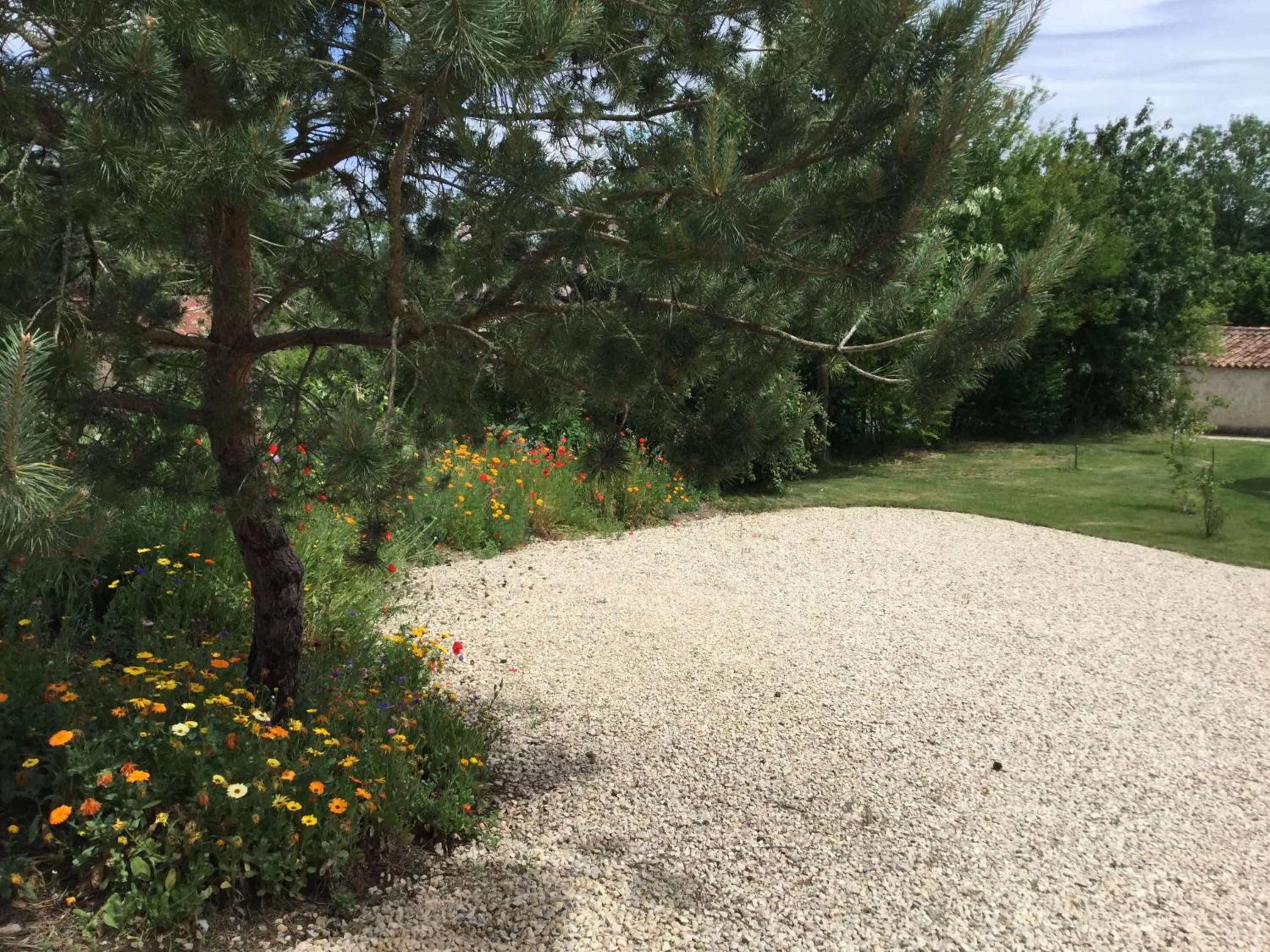 Spring in les epis du vent