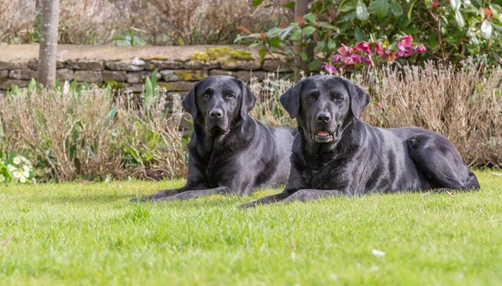 Property building in Aylworth Manor