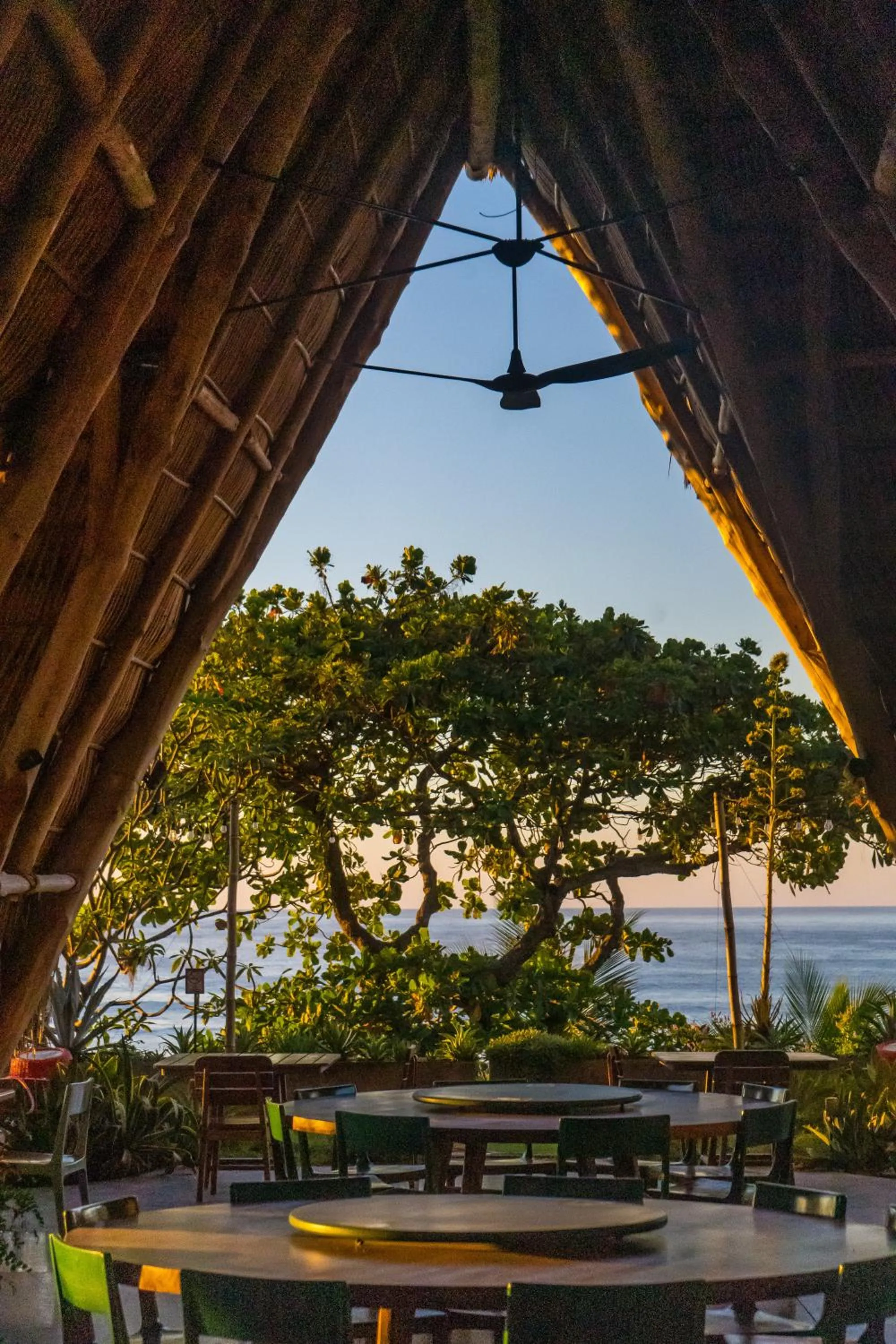 Puro Surf Hotel & Performance Academy