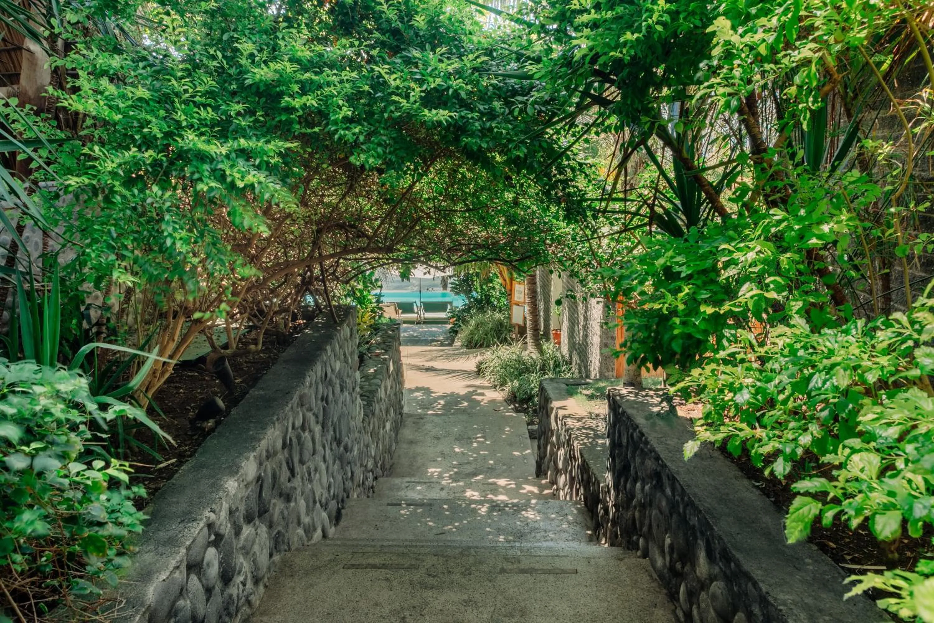 Puro Surf Hotel & Performance Academy