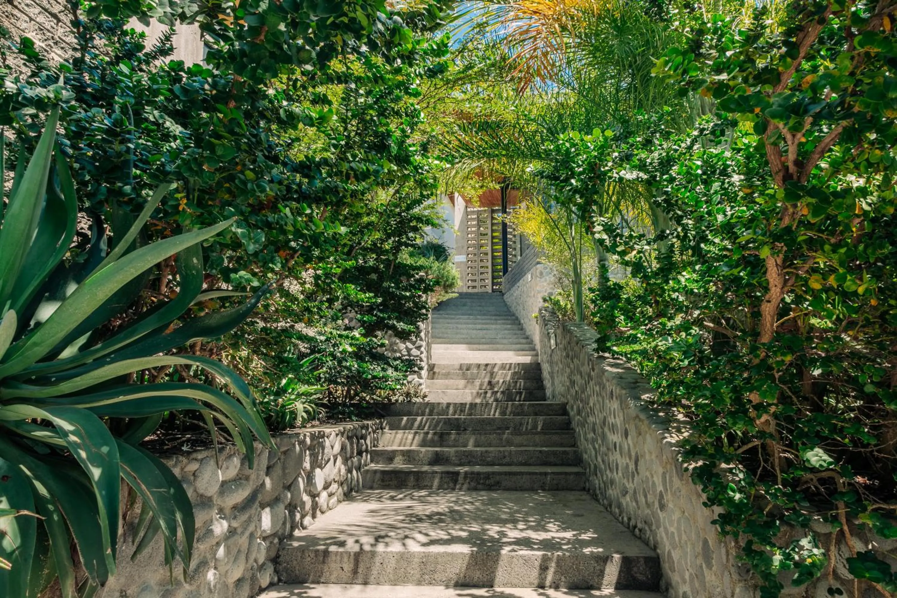 Puro Surf Hotel & Performance Academy