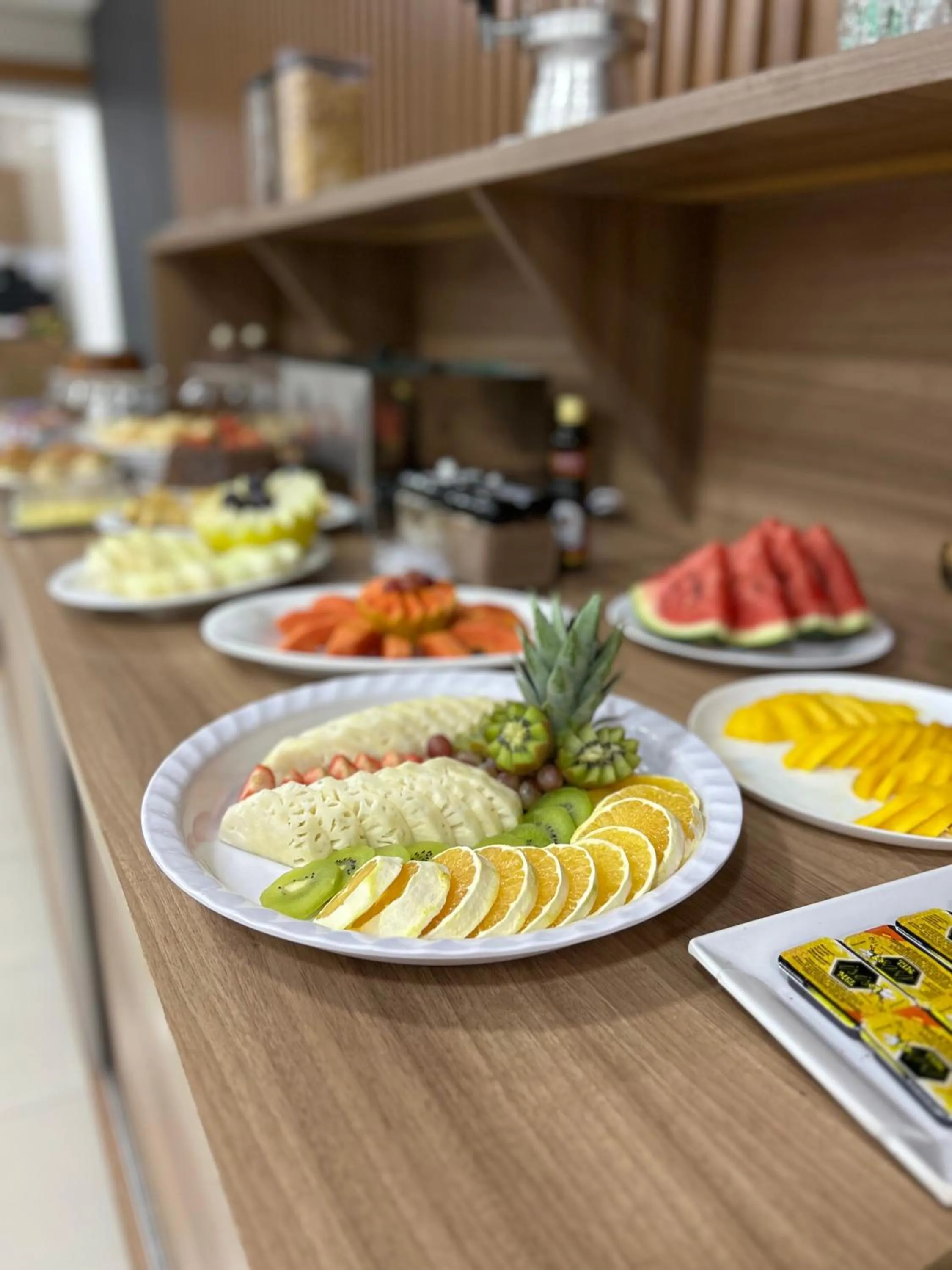 Aeroporto Plaza Hotel