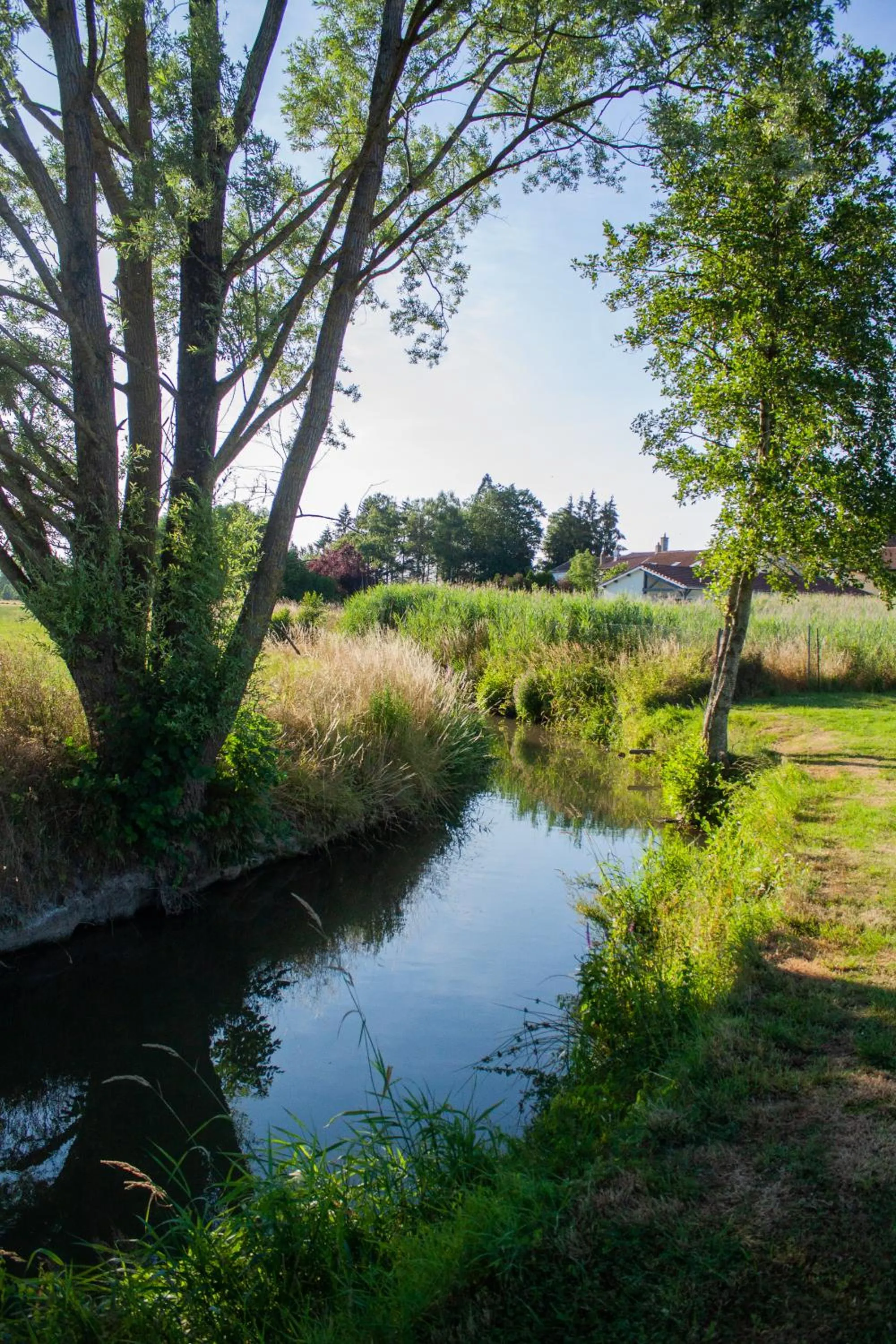 Natural landscape in Relais Vosgien - Hôtel Restaurant "la Table de Sophia"
