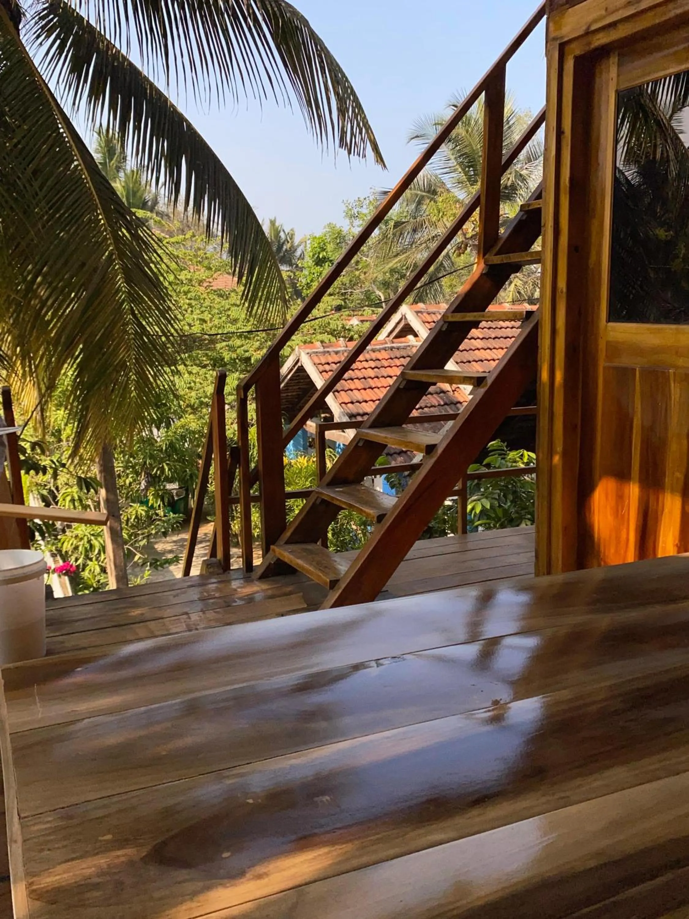 Garden in Surf Beach Hotel