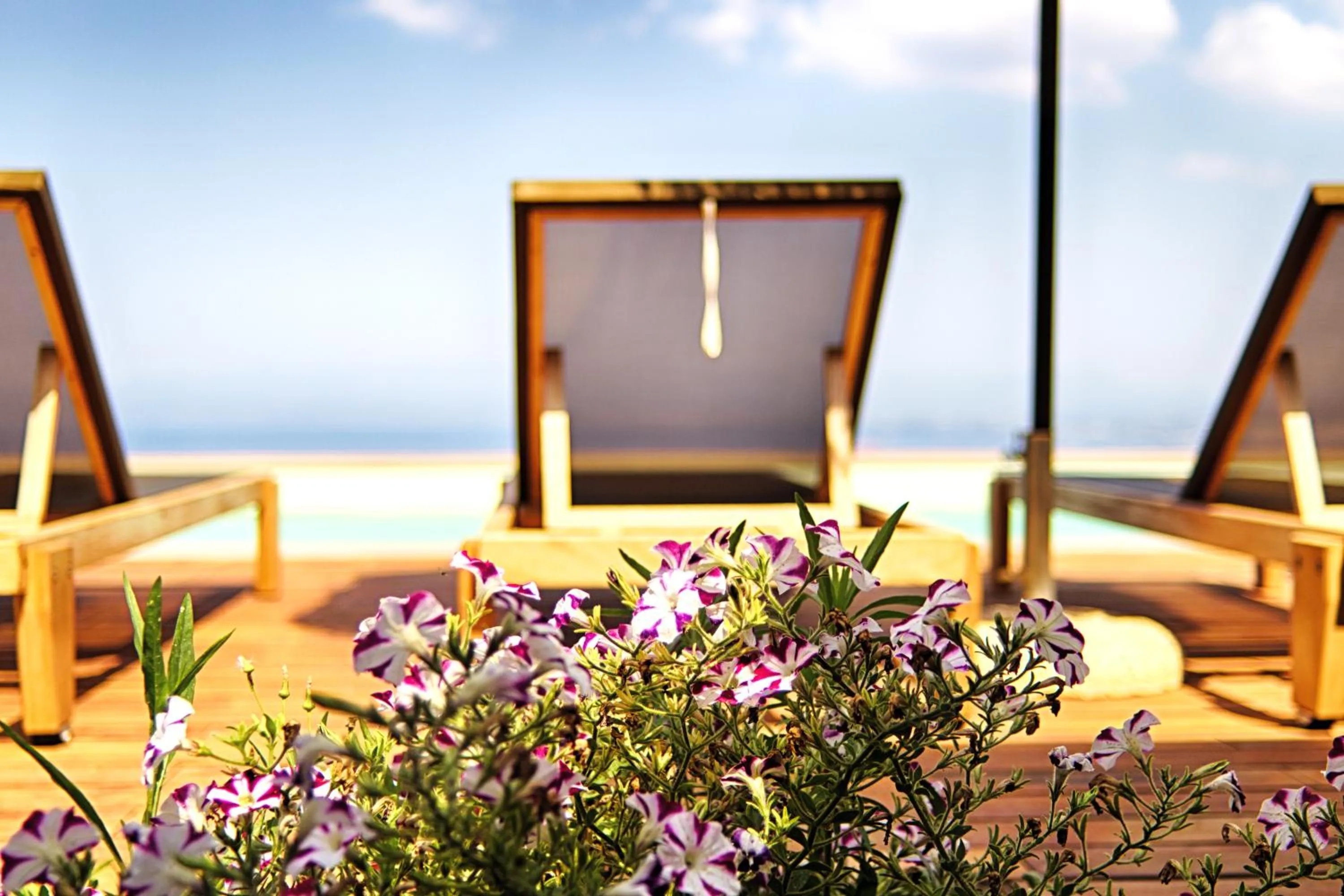 Swimming pool in Euphoria Suites