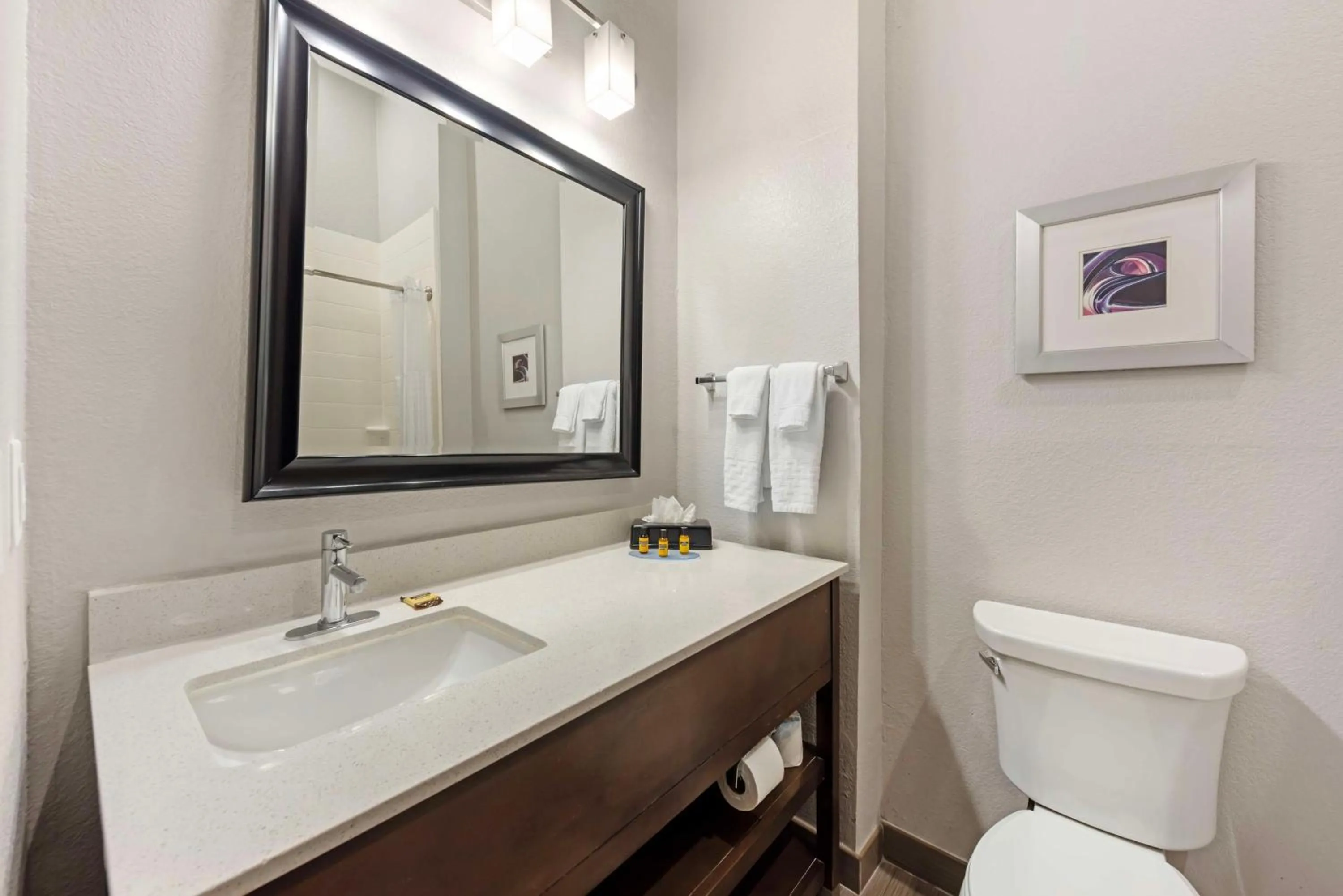 Bathroom in Best Western Plus Buda Austin Inn & Suites
