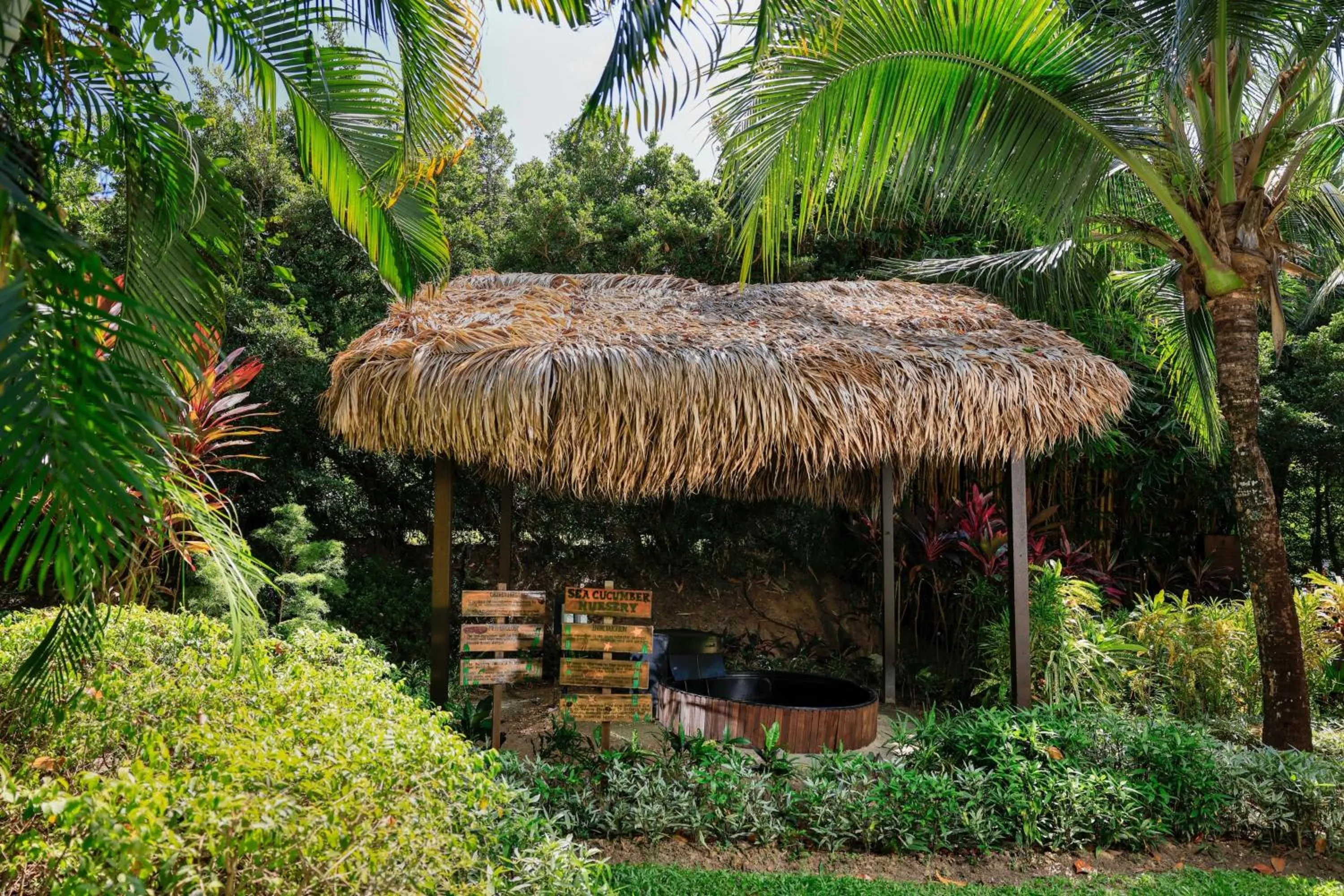 Other in The Ritz-Carlton, Langkawi