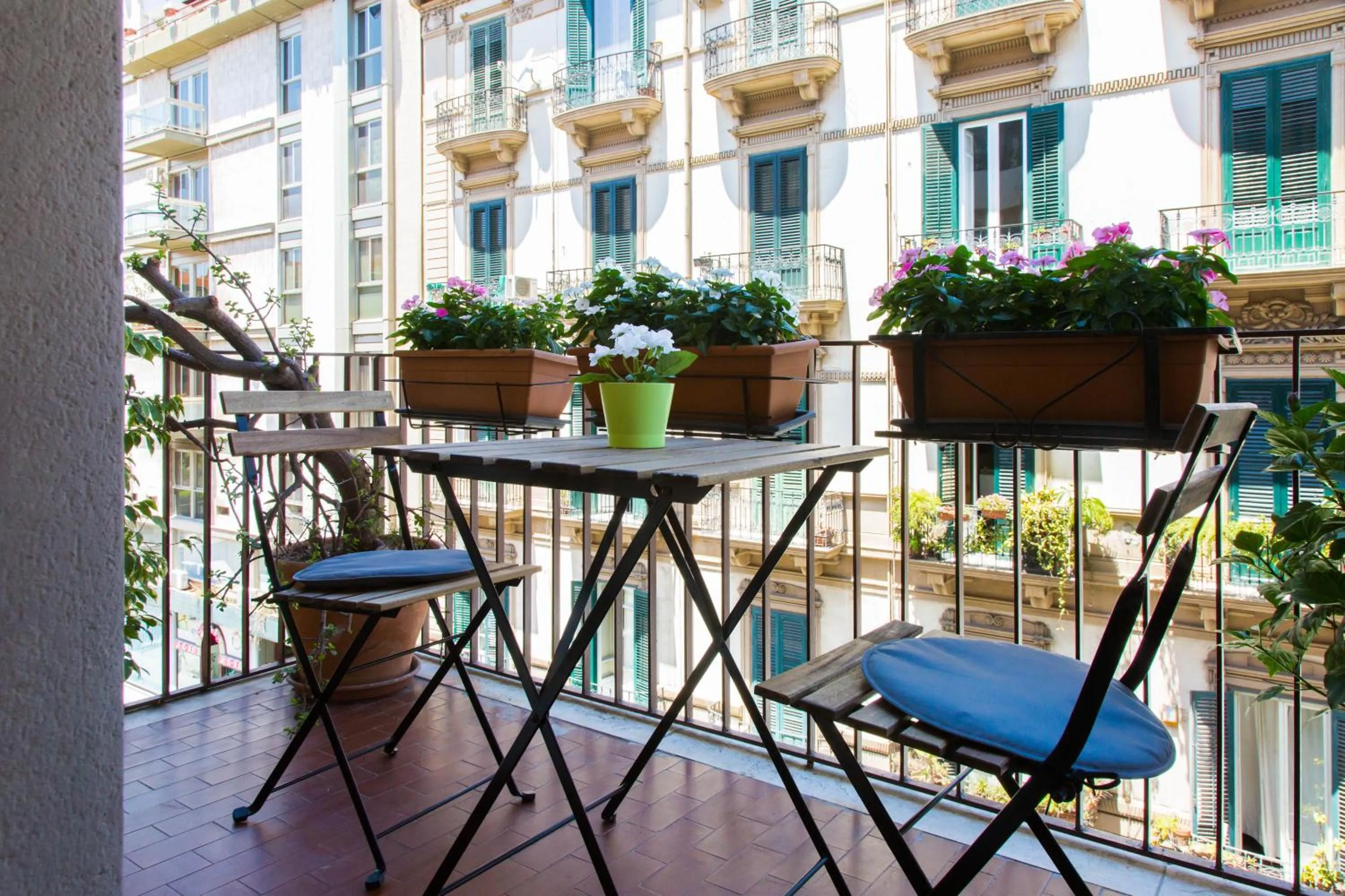 Property building in Zammù