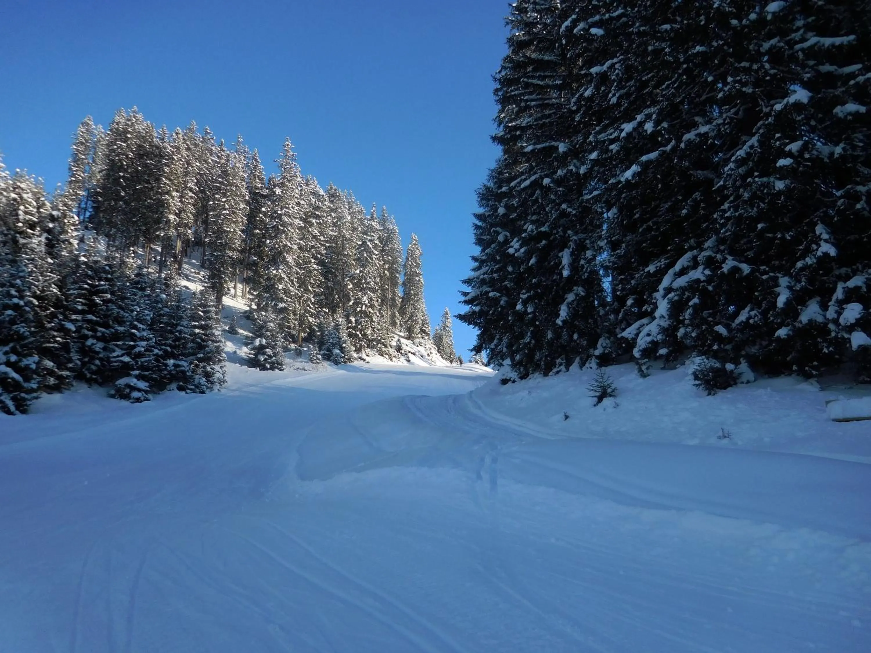 Natural landscape in Hotel Styrolerhof