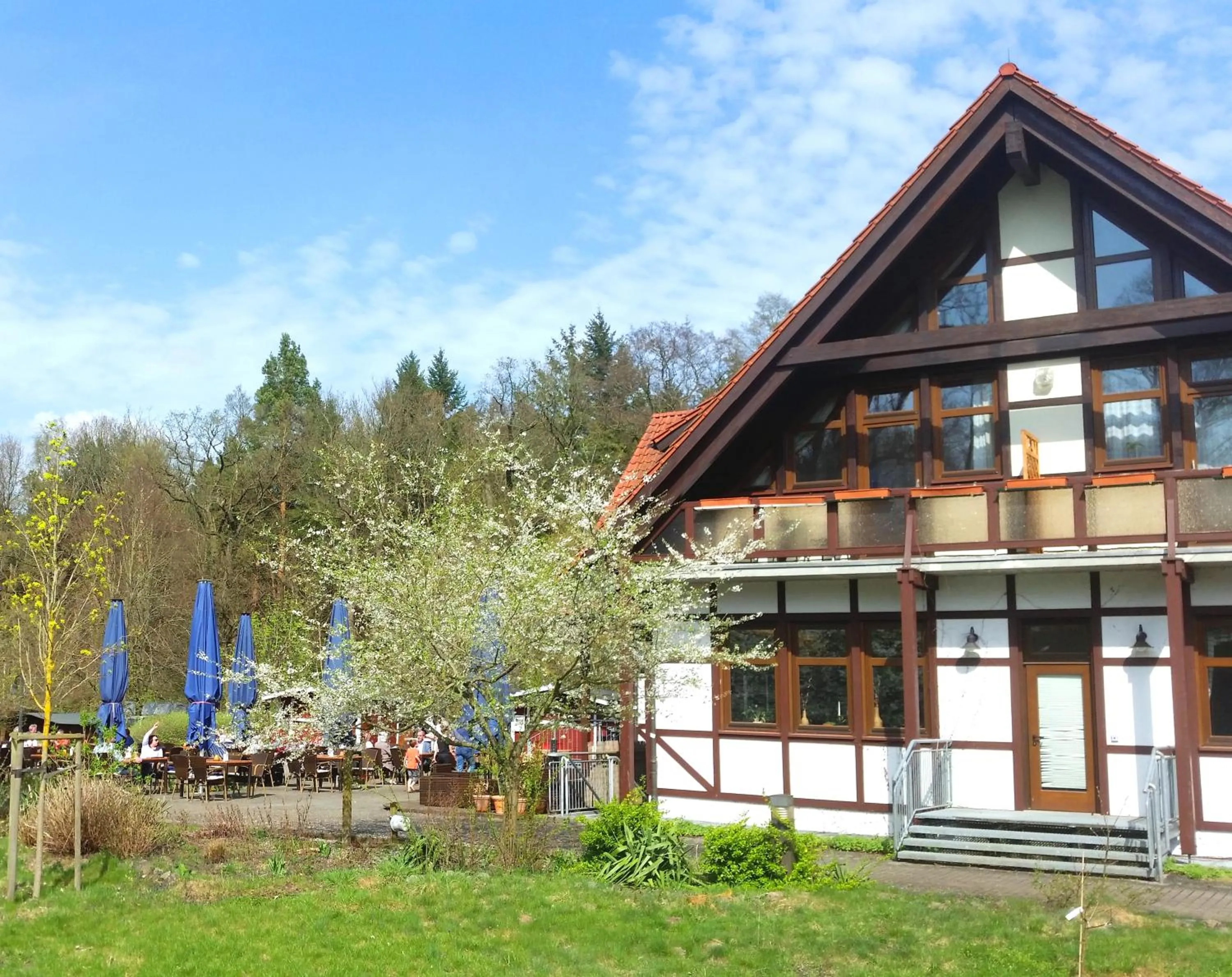 View (from property/room) in Neue Mühle Kleines Landhotel