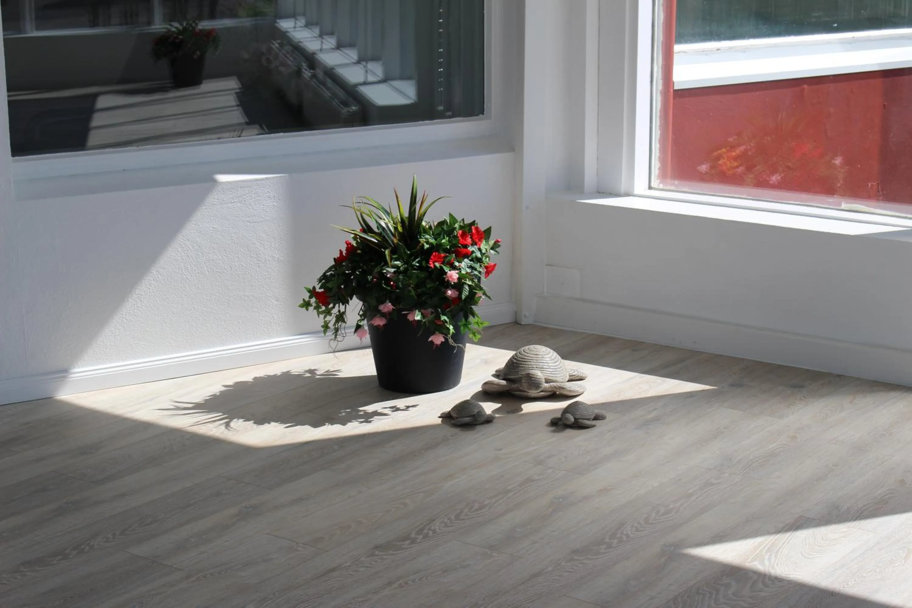 Ocean Beach Apartments