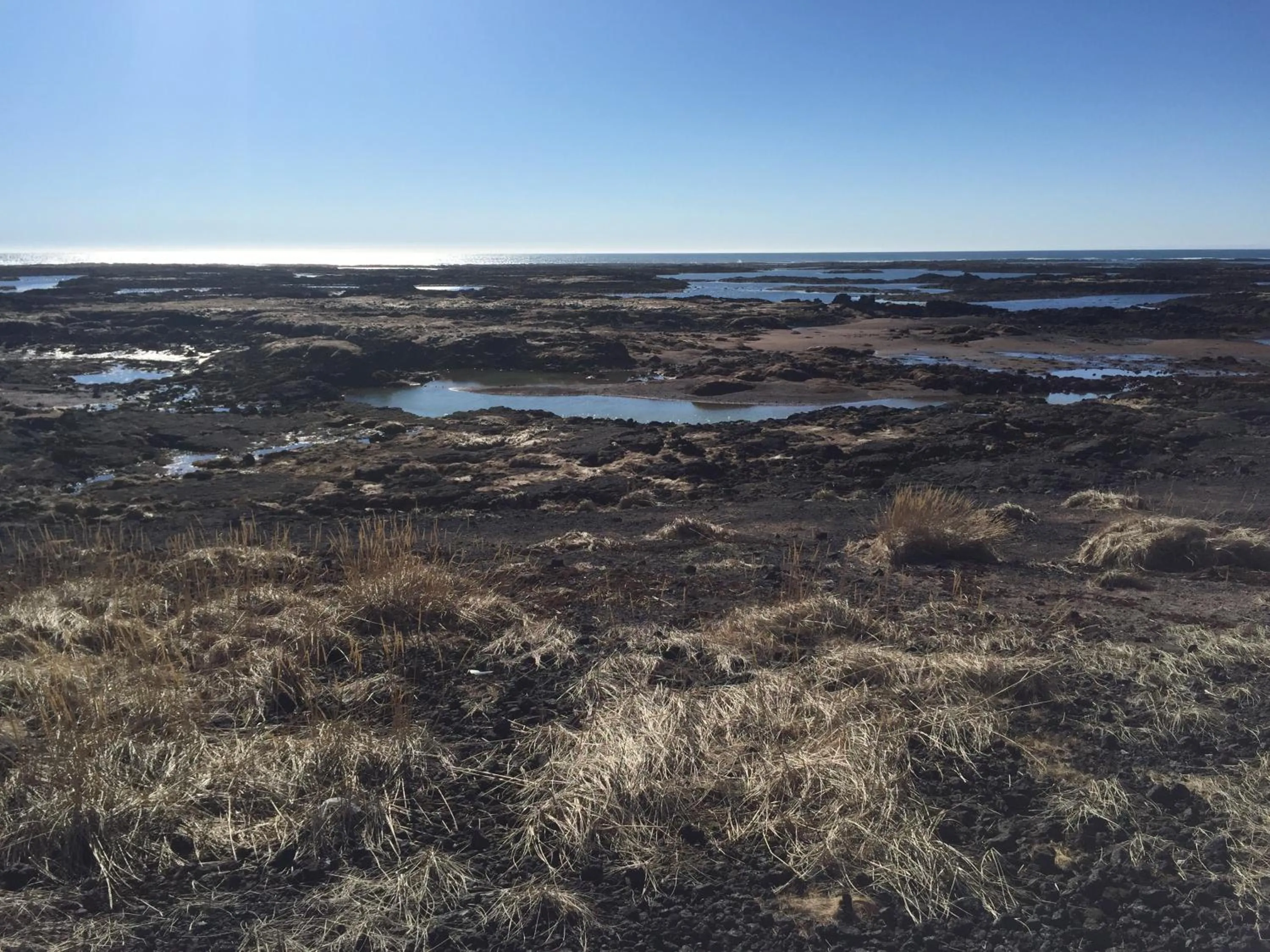 Ocean Beach Apartments