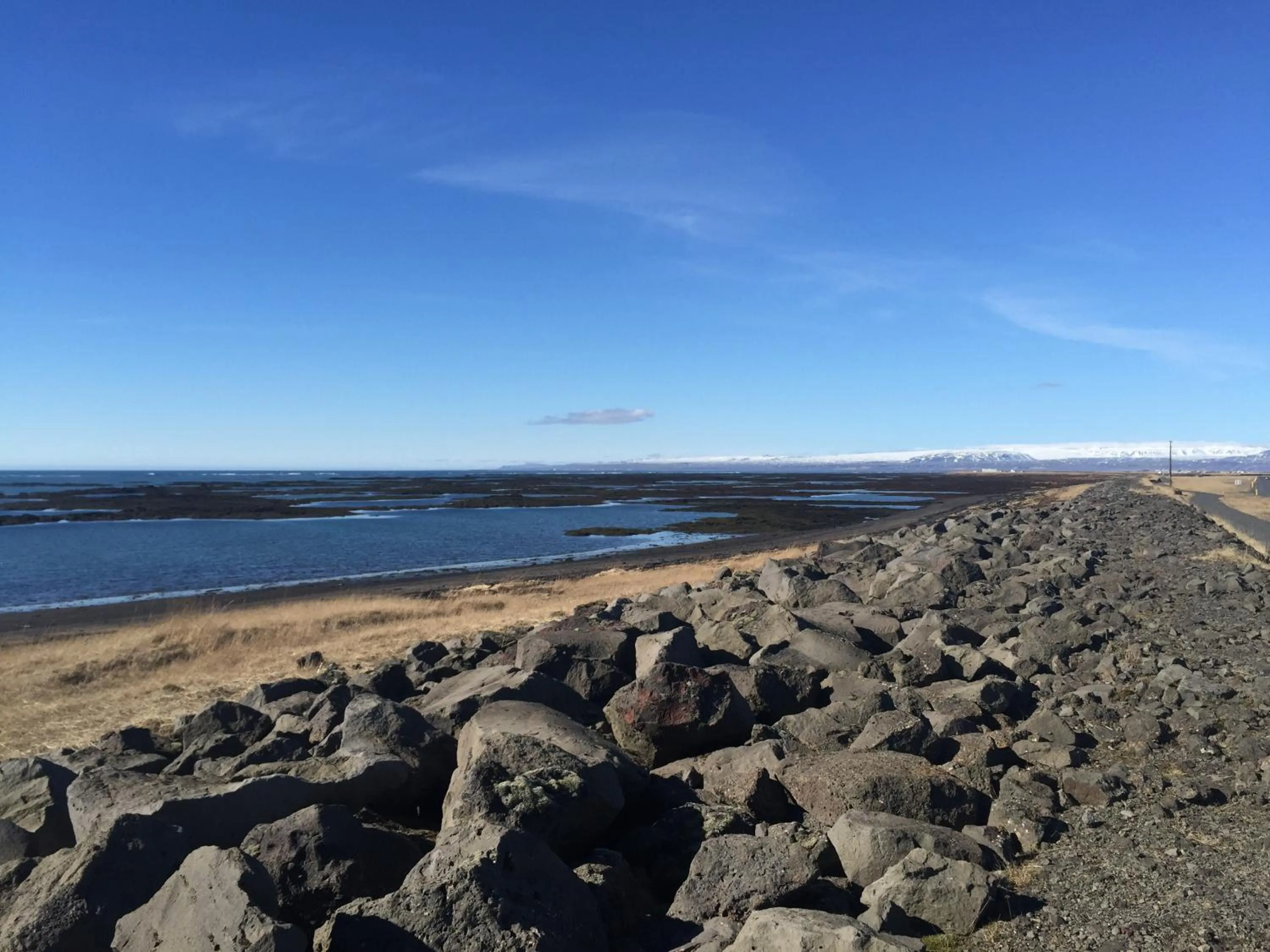 Ocean Beach Apartments